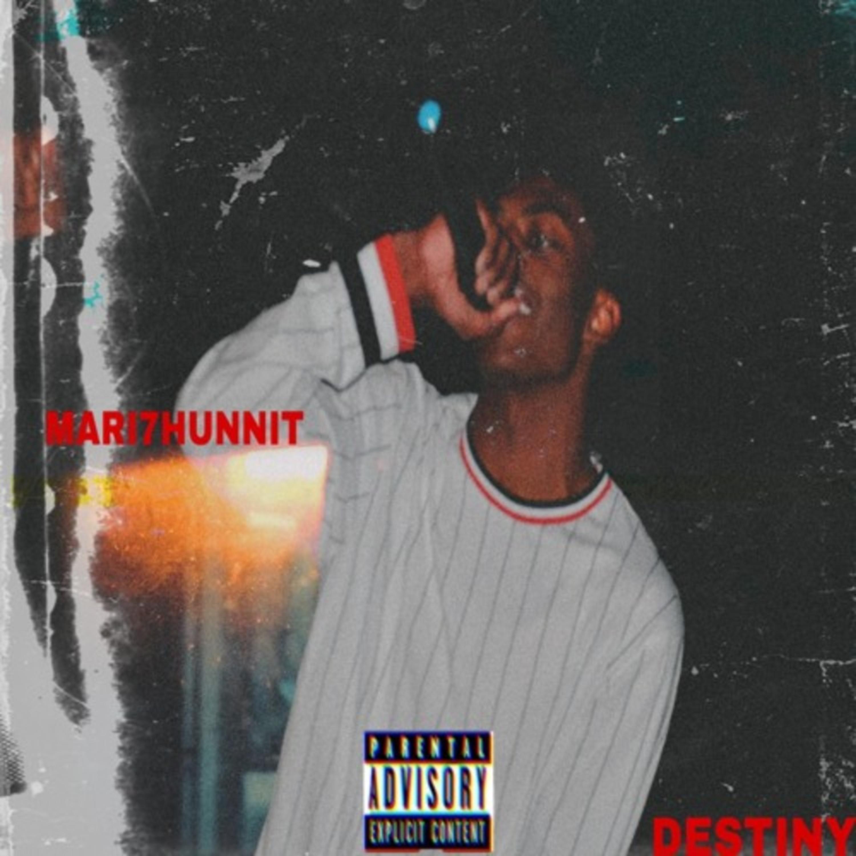 Destiny by Mari7Hunnit cover art