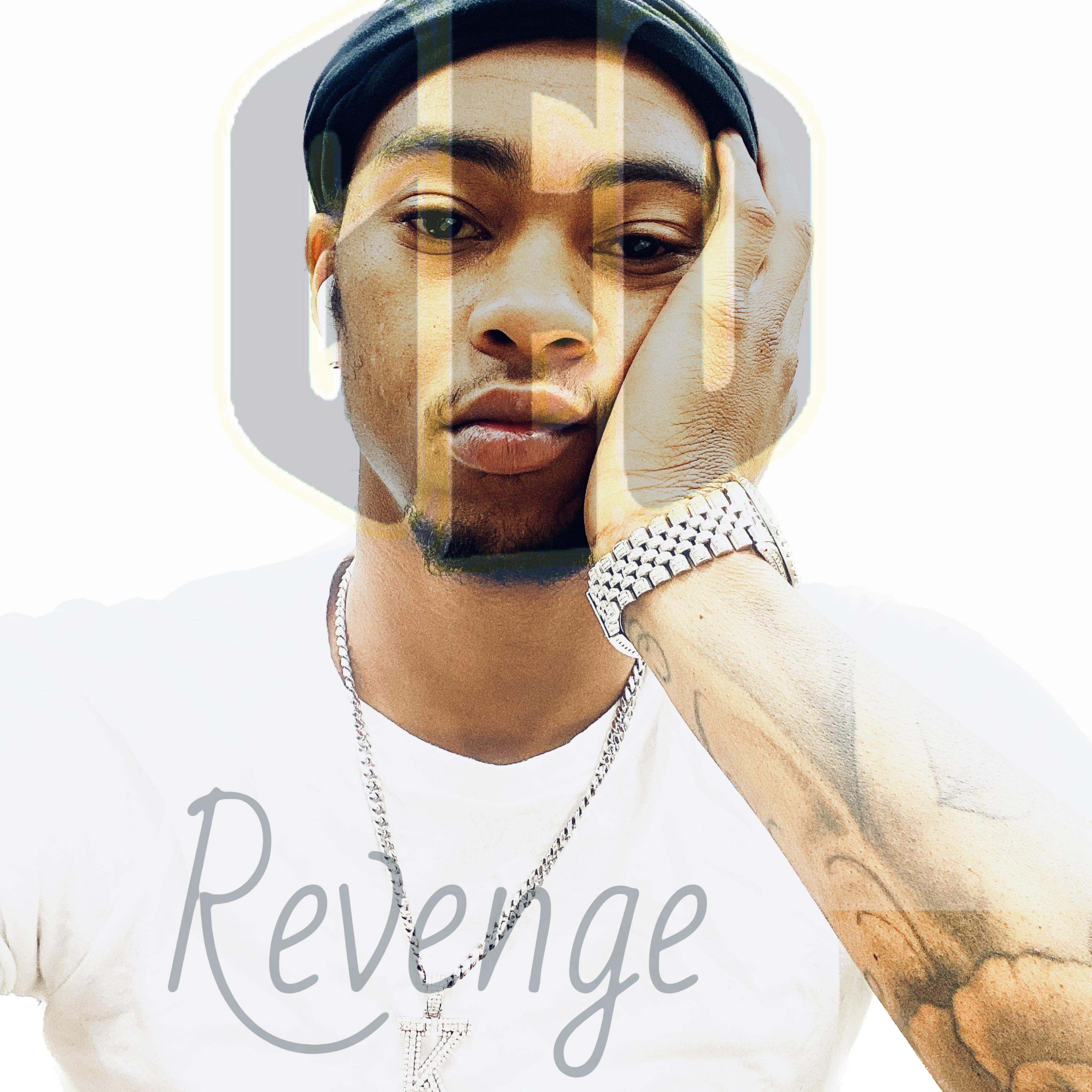 Revenge artwork