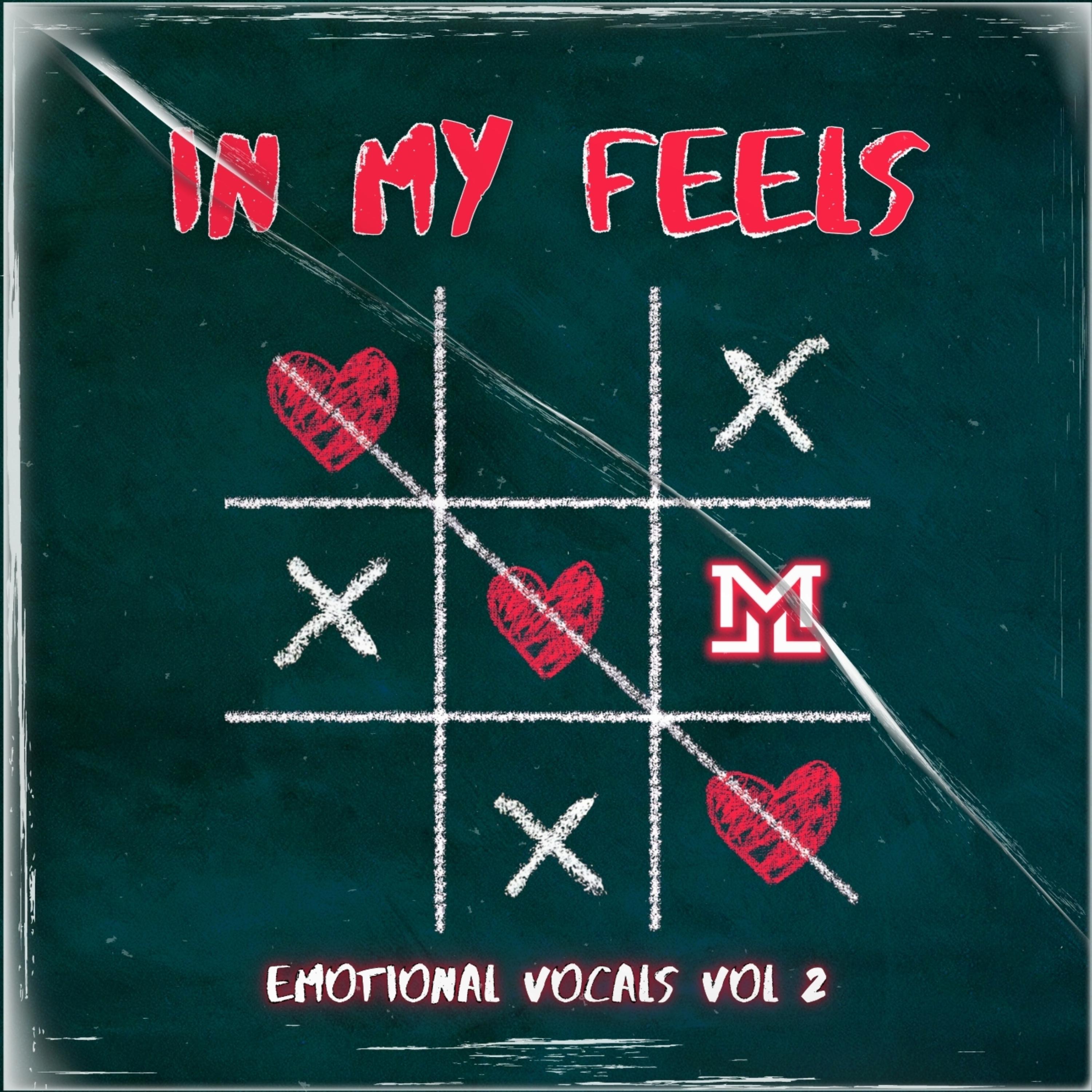 In My Feels Emotional Vocals Vol 2 artwork