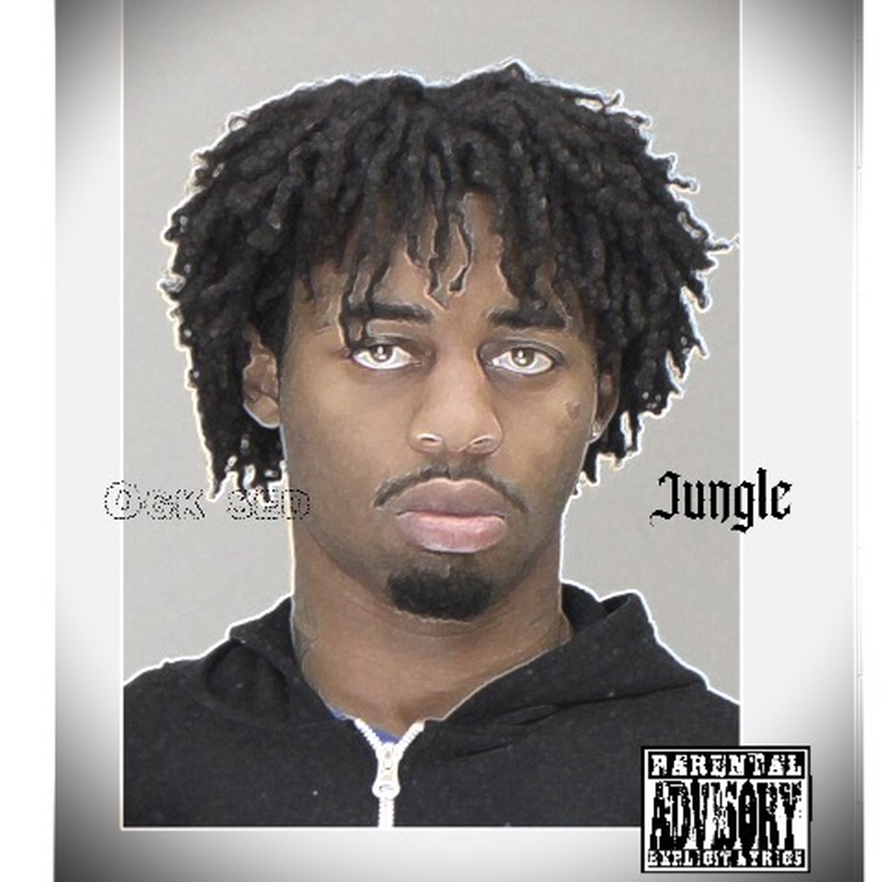 Jungle artwork
