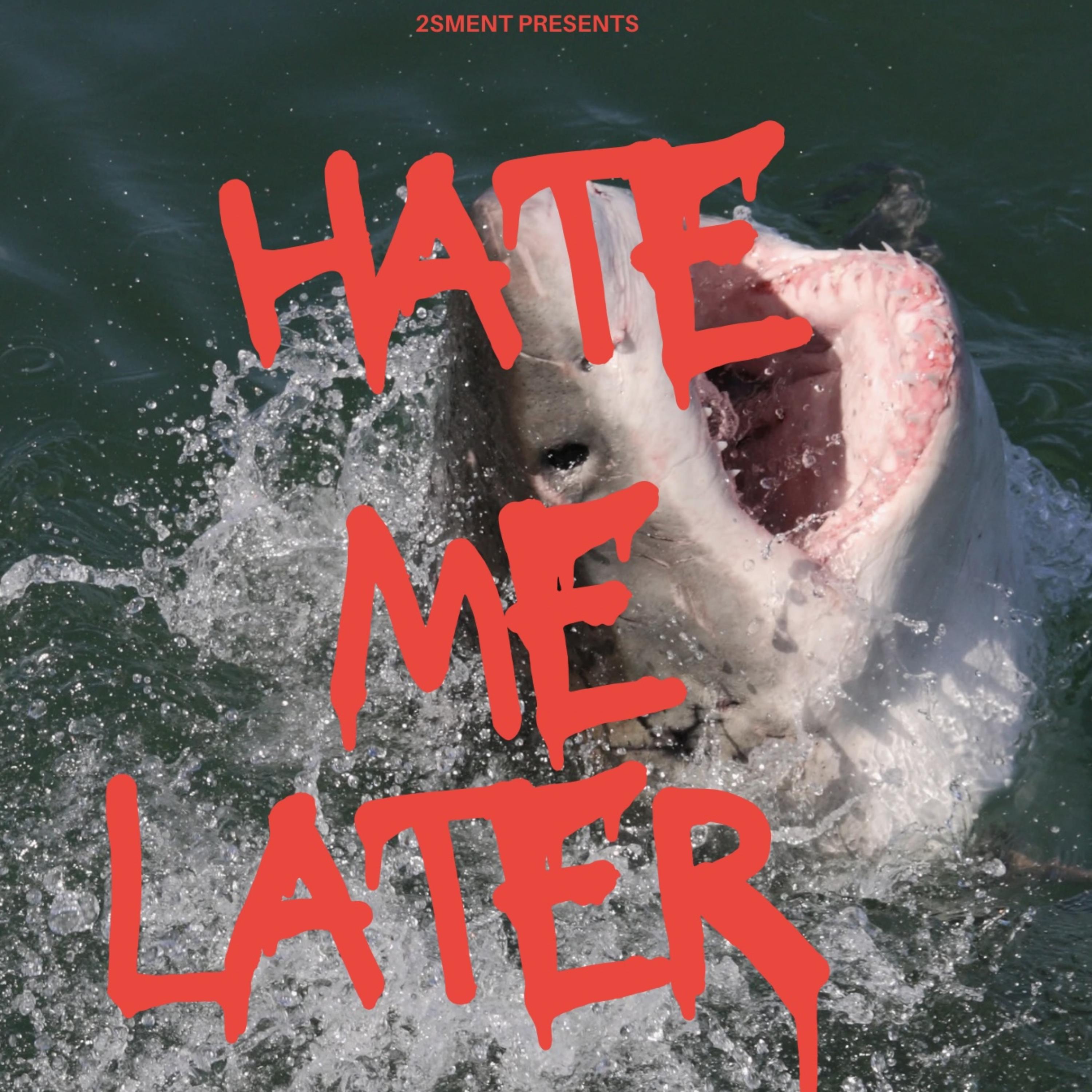 Hate Me Later artwork