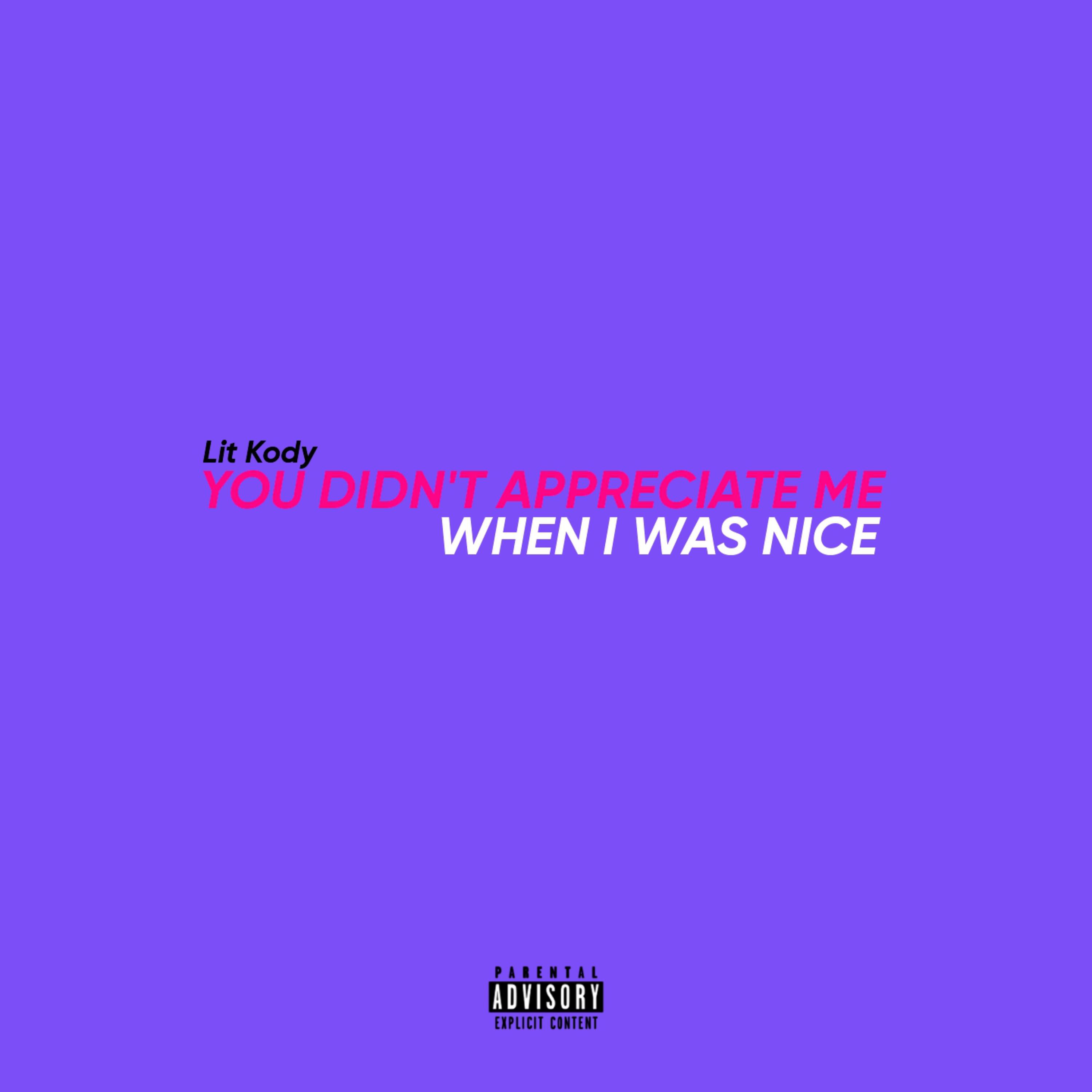 YOU DIDN'T APPRECIATE ME WHEN I WAS NICE artwork