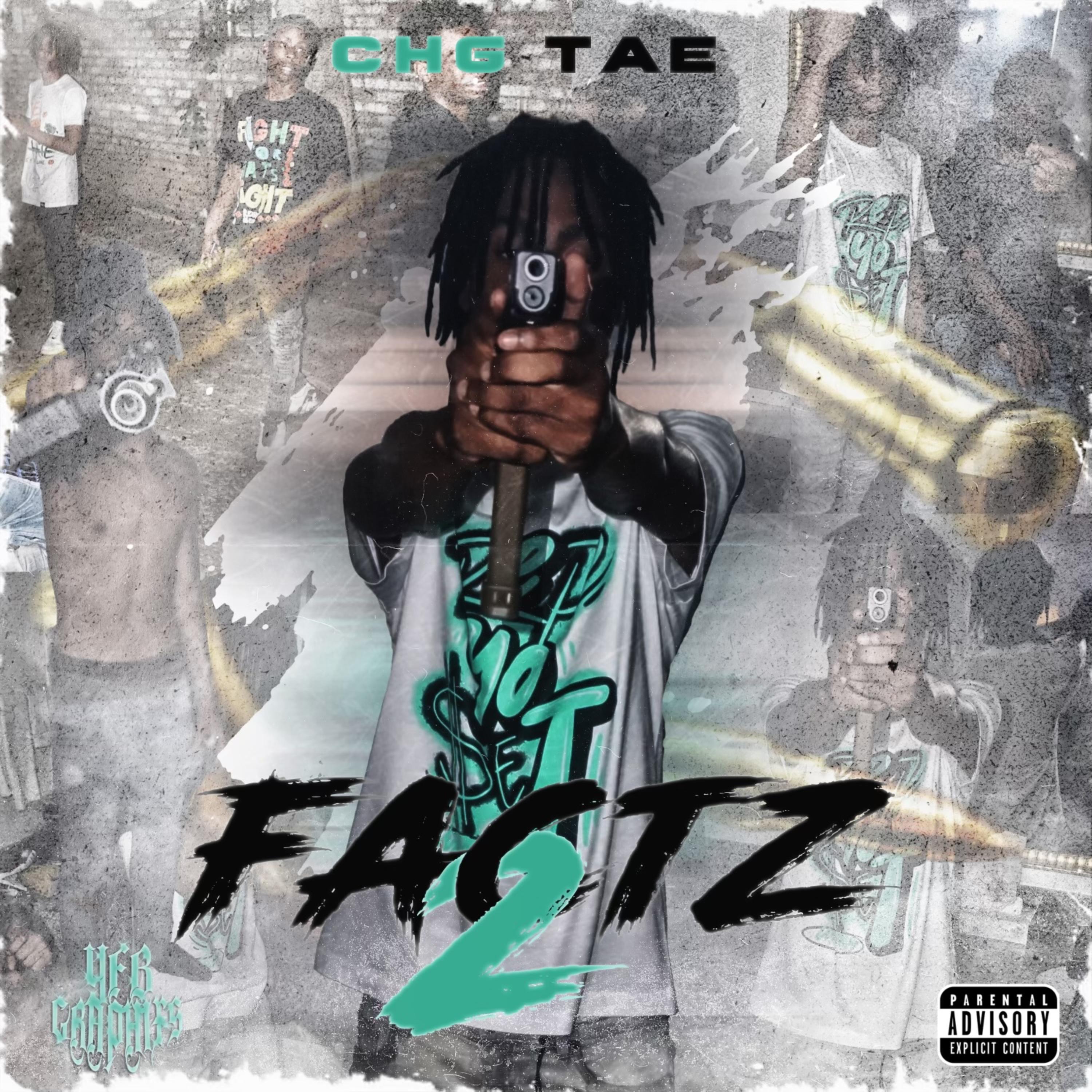 Facts (Pts 2) artwork