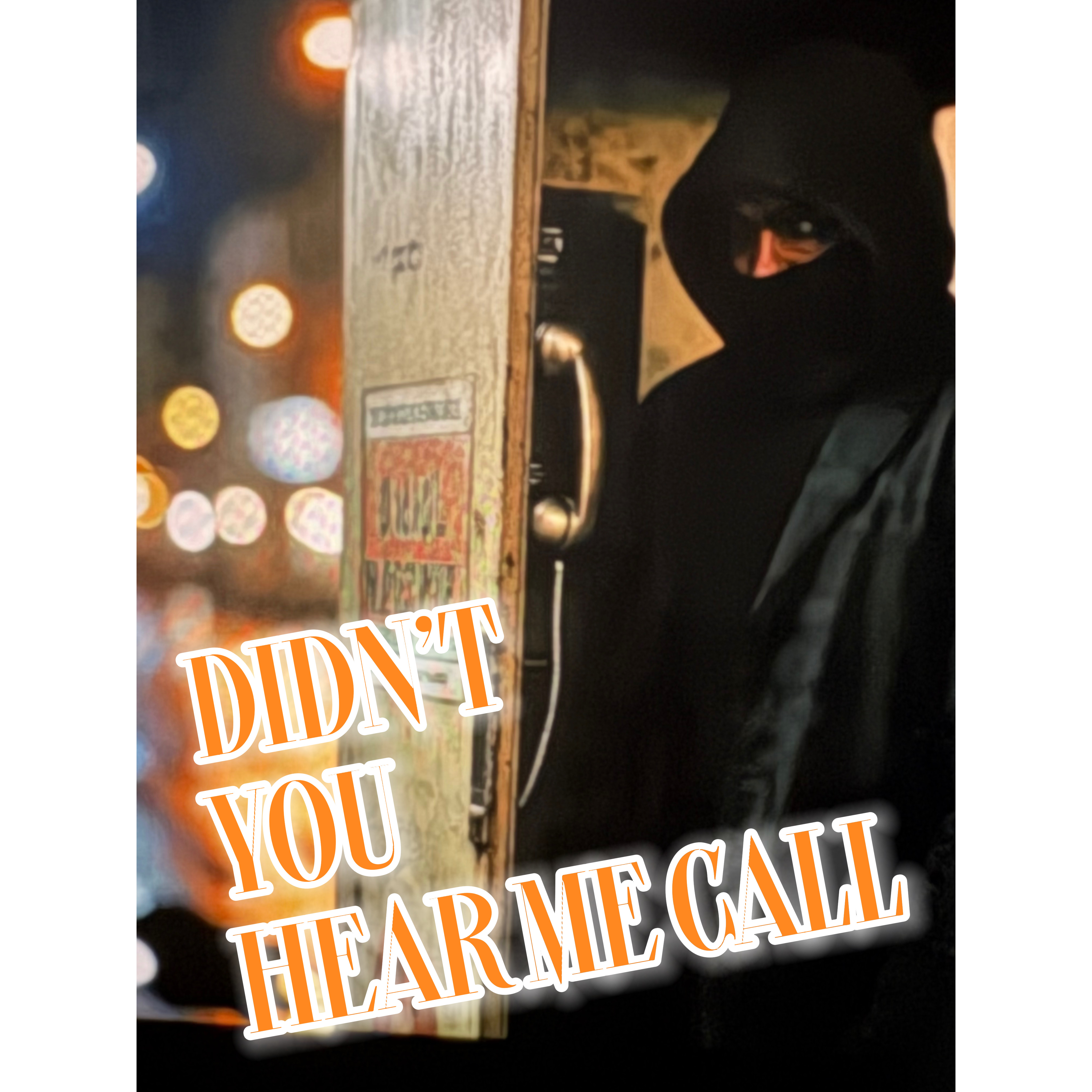 Didn’t You Hear Me Call artwork