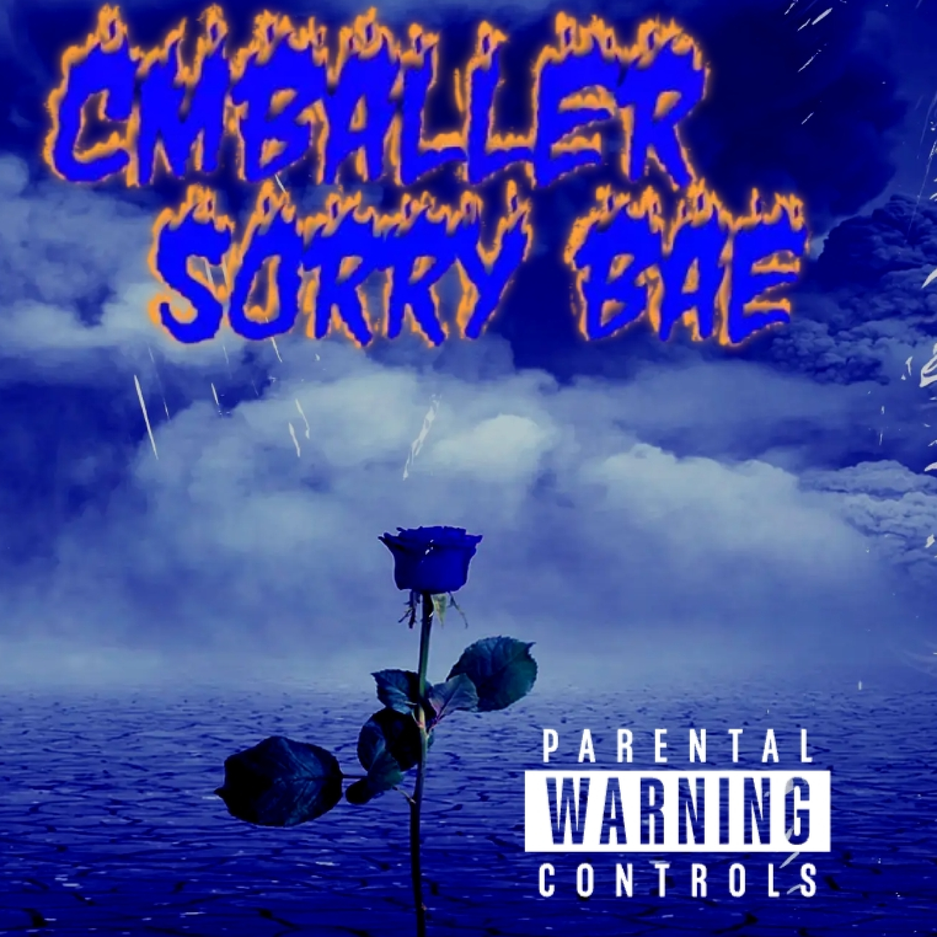 sorry bae by Cmballer cover art