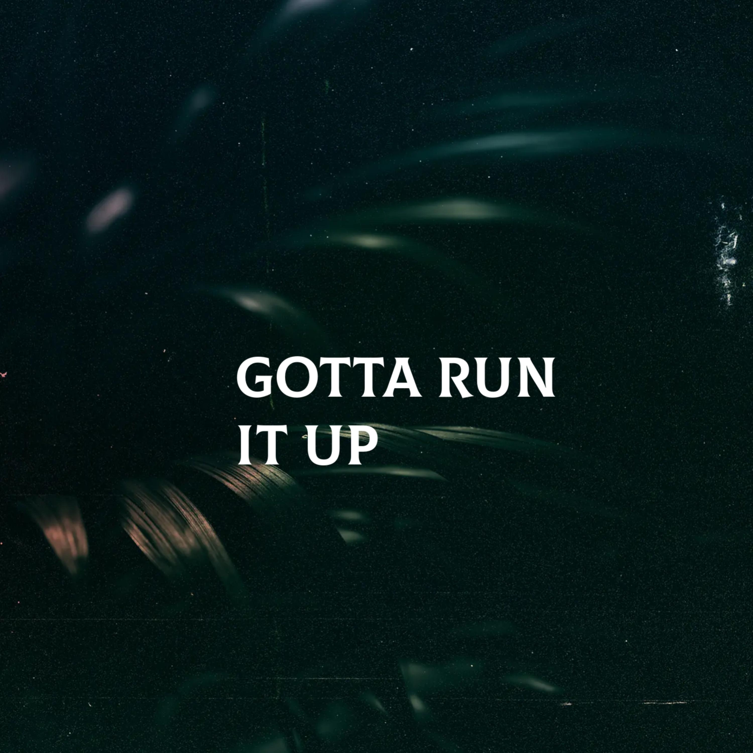 GOTTA RUN IT UP artwork