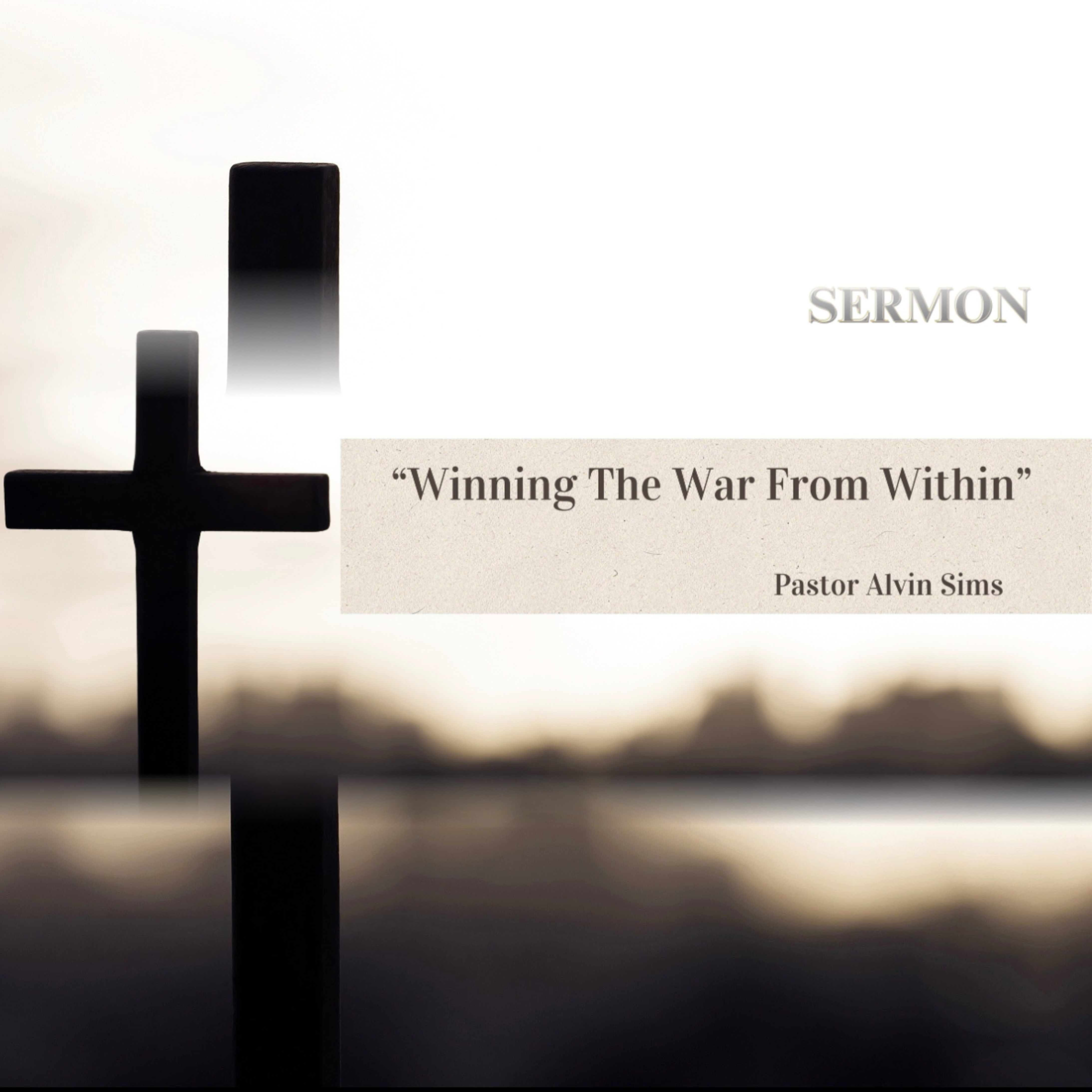 Winning The War From Within artwork