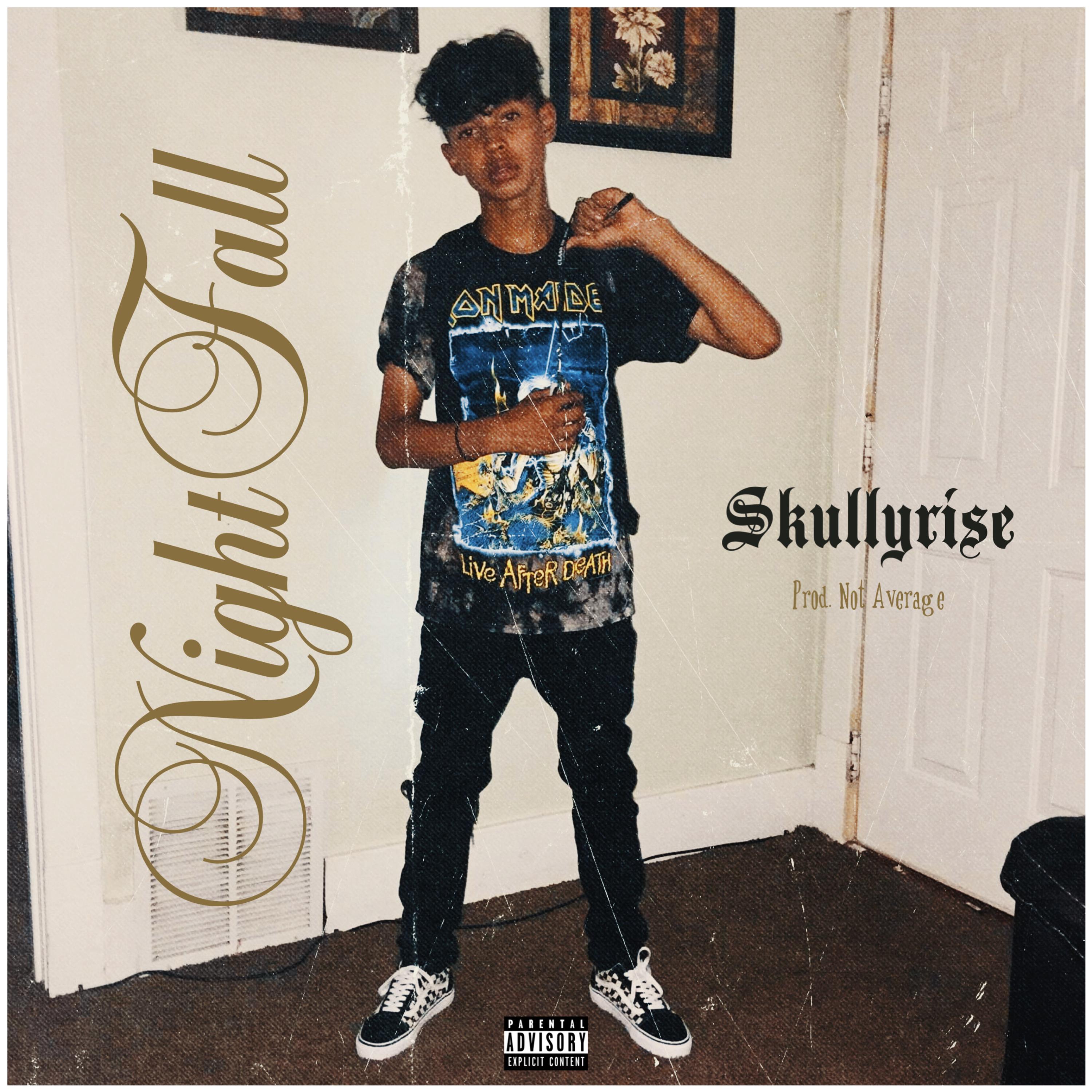NightFall by skullyrise cover art