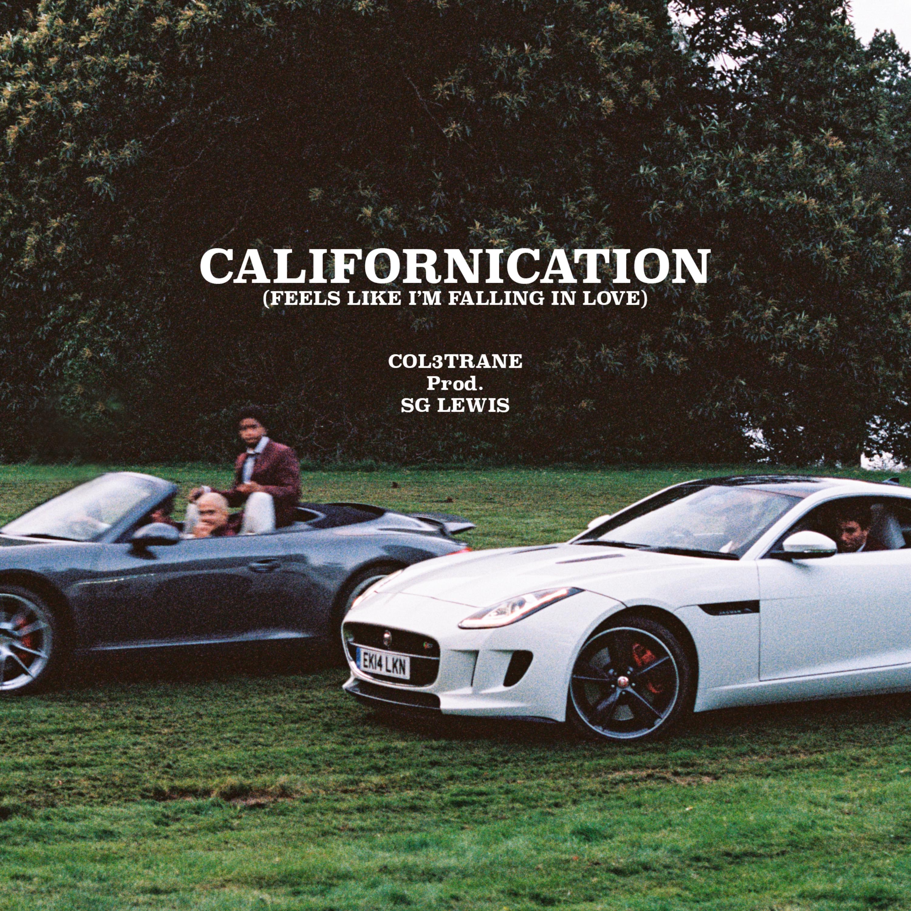 Californication (Feels Like I'm Falling In Love) artwork