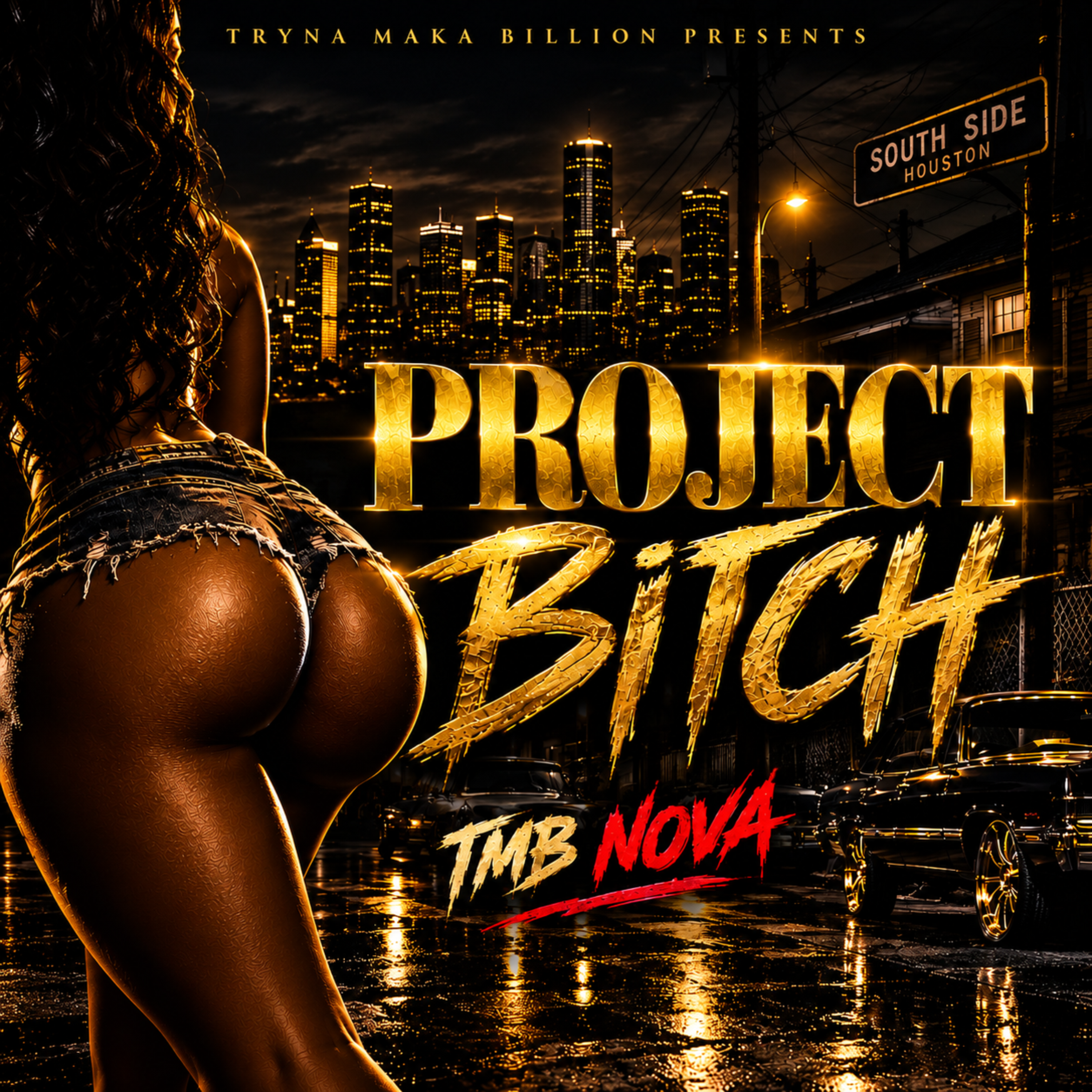 PROJECT BITCH by TMB Nova cover art