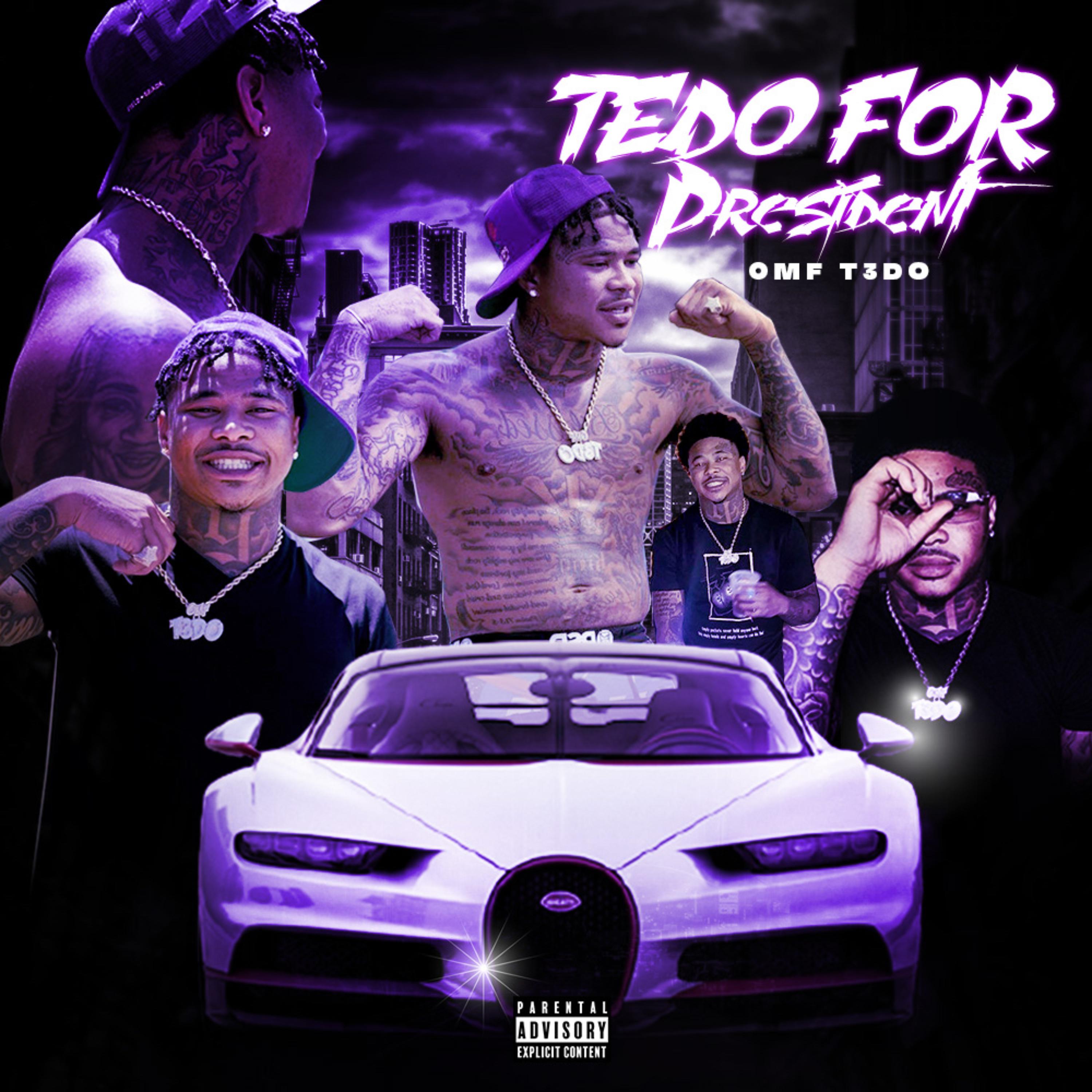 Tedo For president artwork