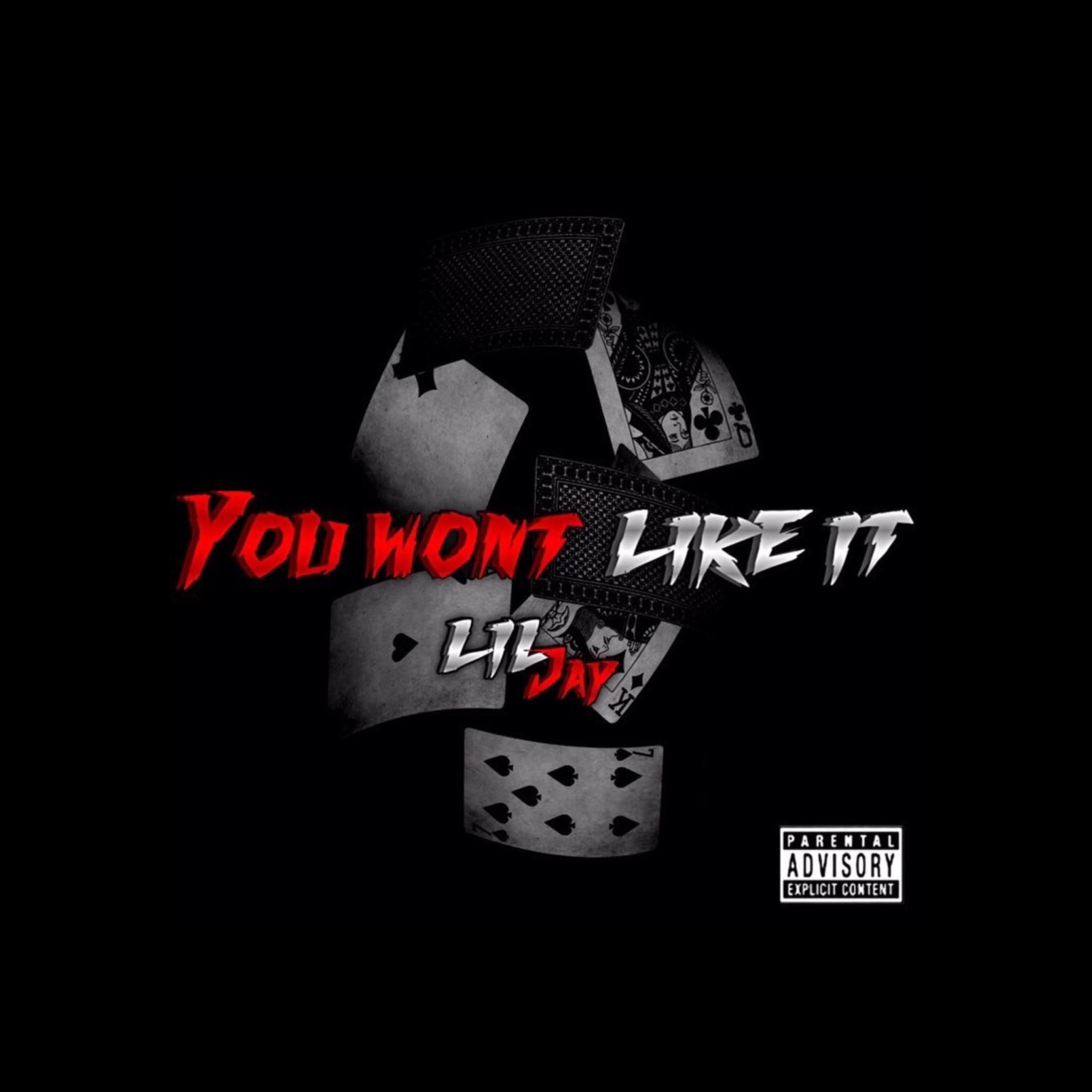 YOU WON'T LIKE IT artwork