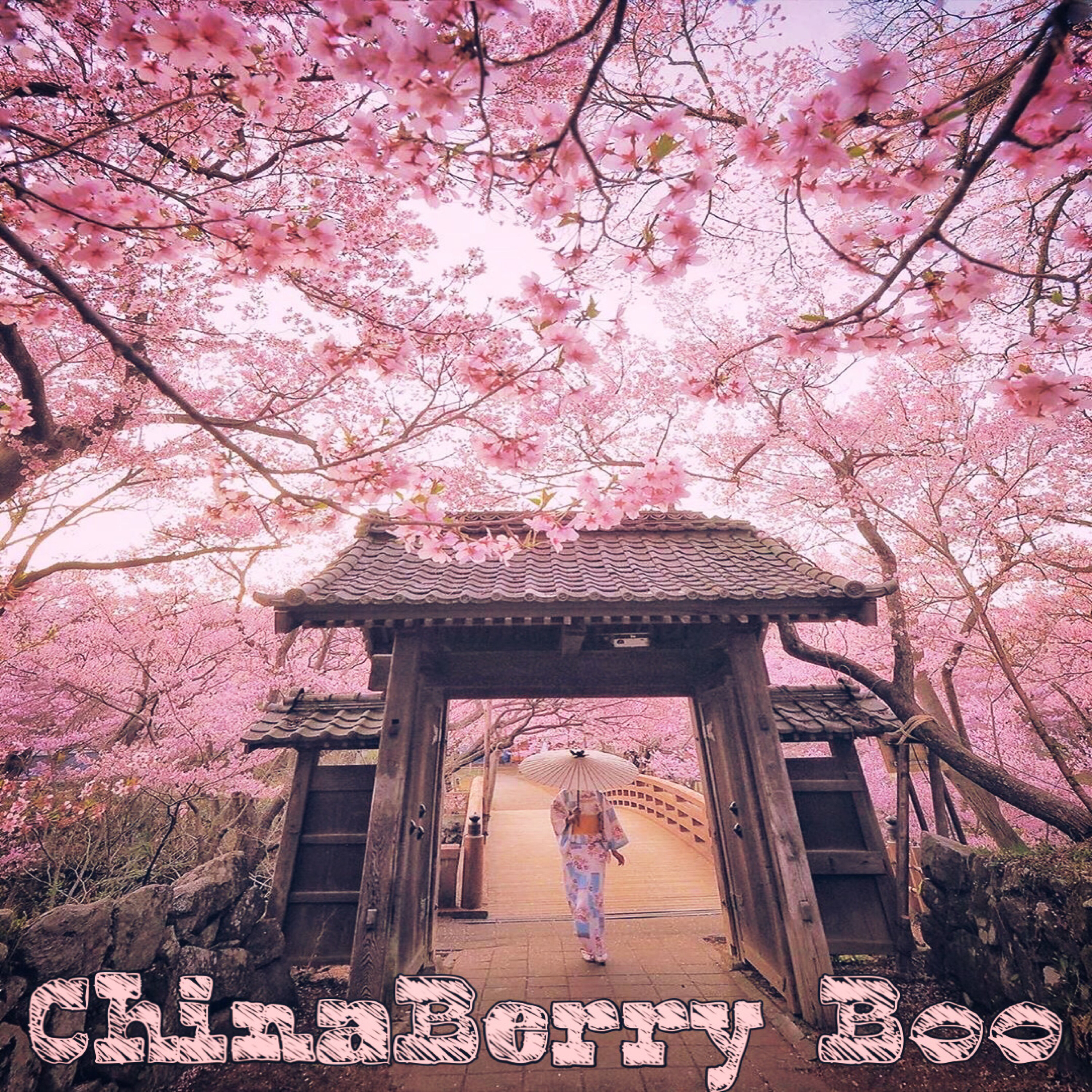 ChinaBerry Boo artwork