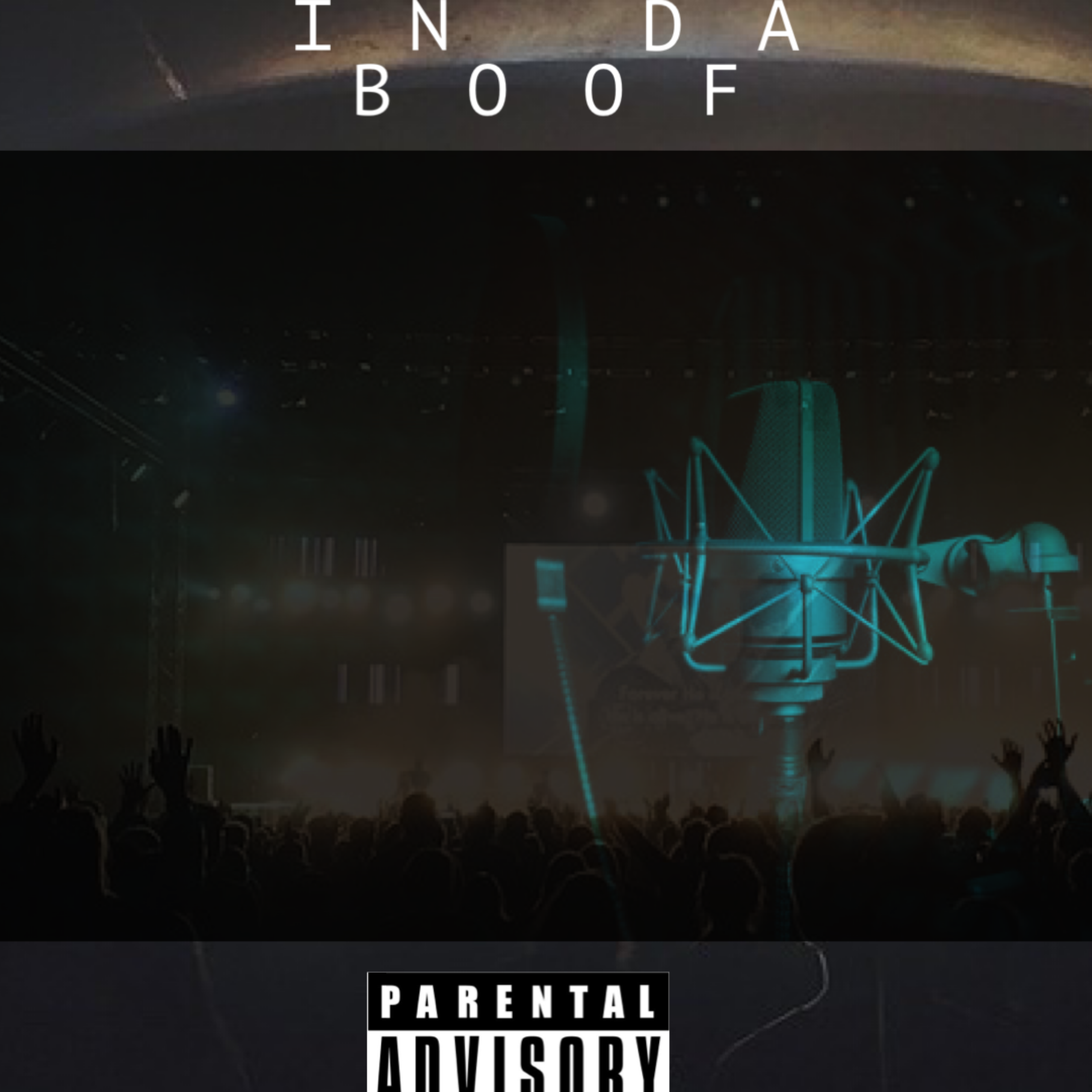 IN DA BOOF artwork