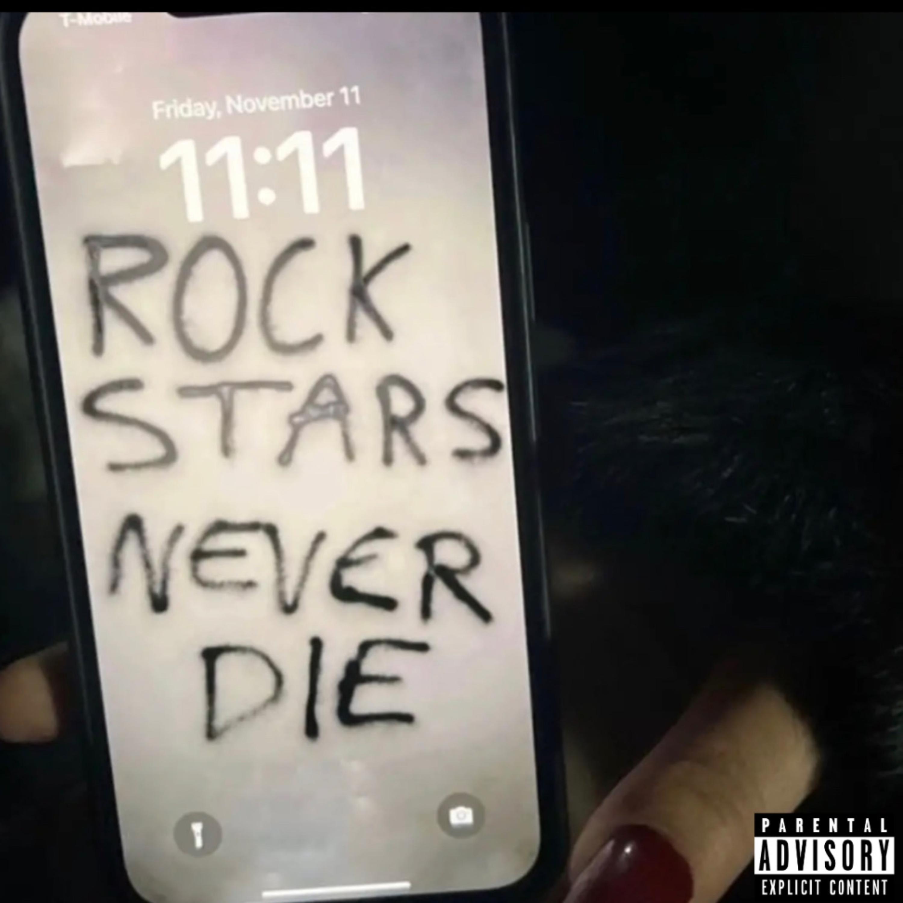 ROCK STARS NEVER DIE artwork