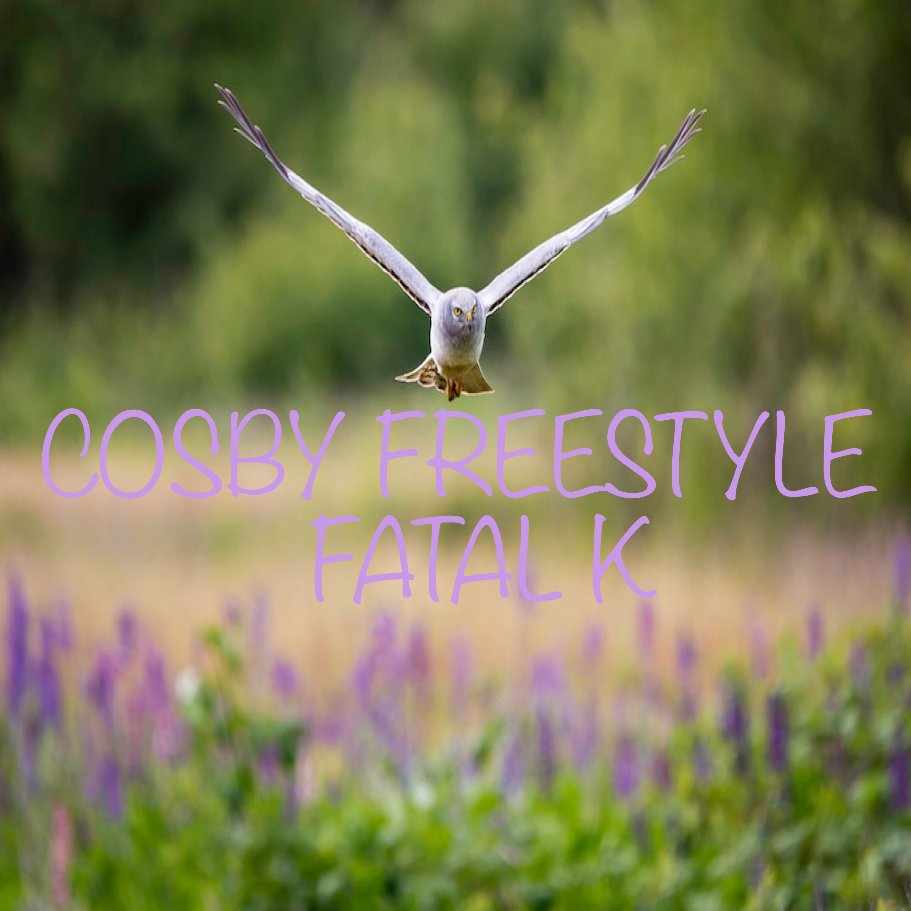 Cosby Freestyle artwork