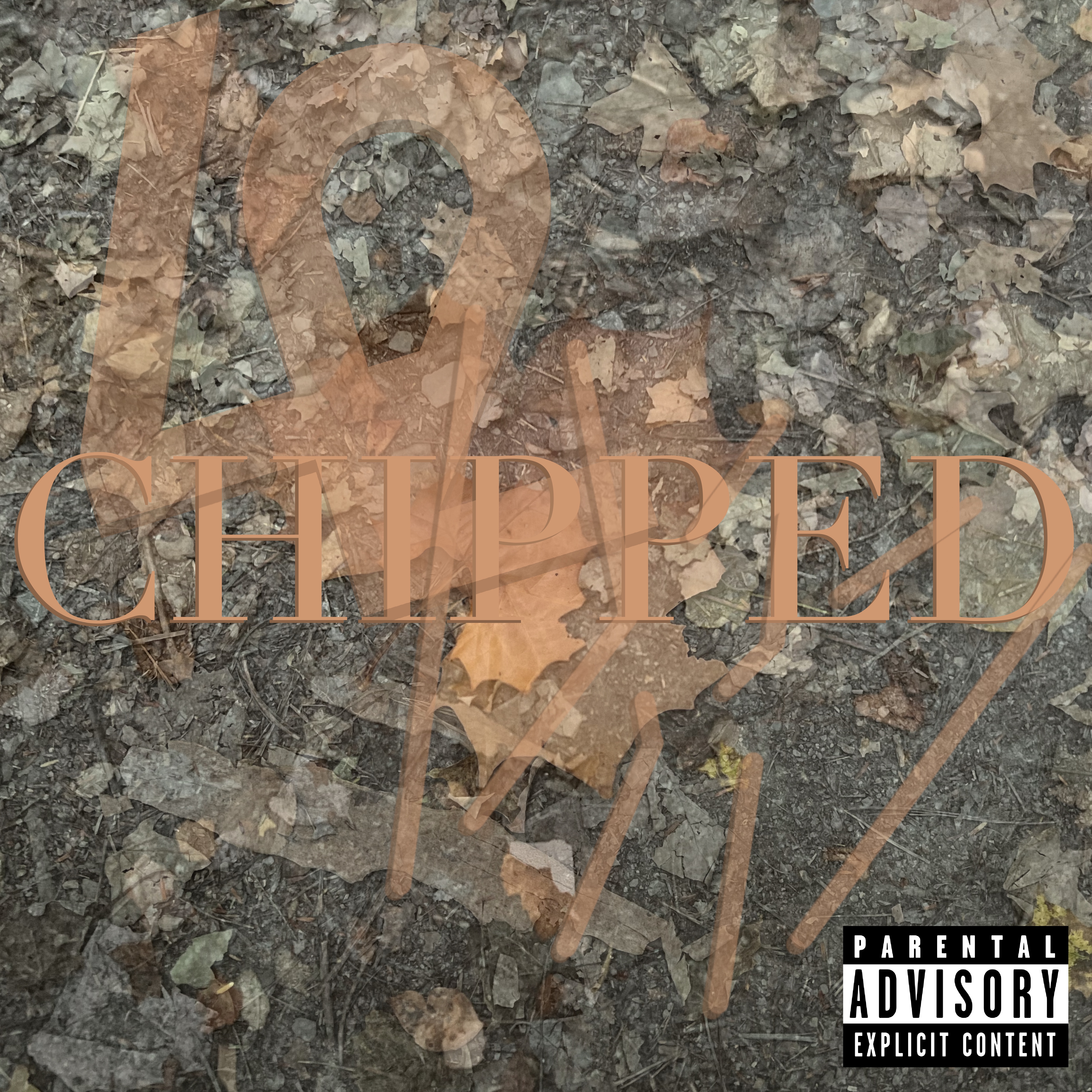 Chipped artwork