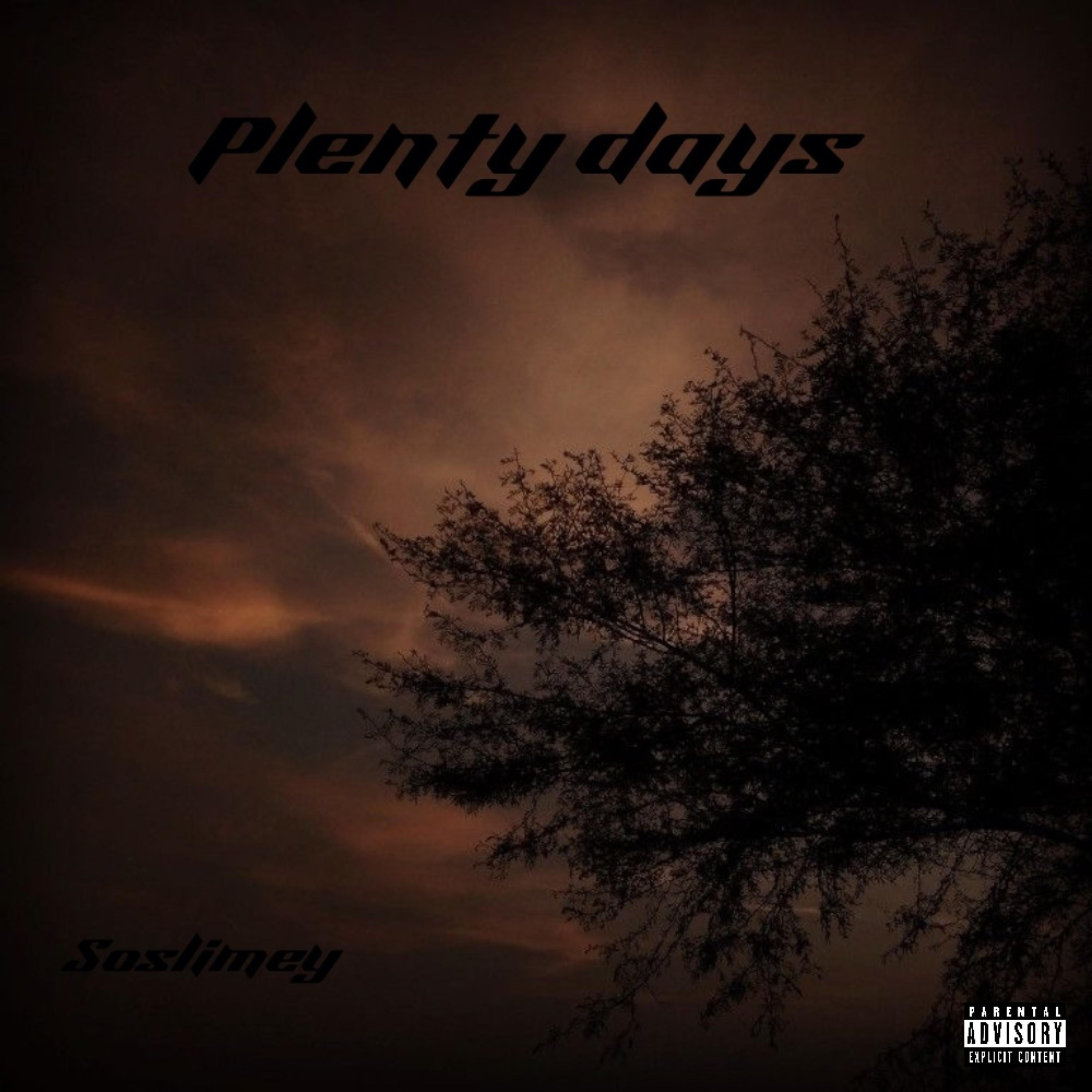 Plenty Days artwork