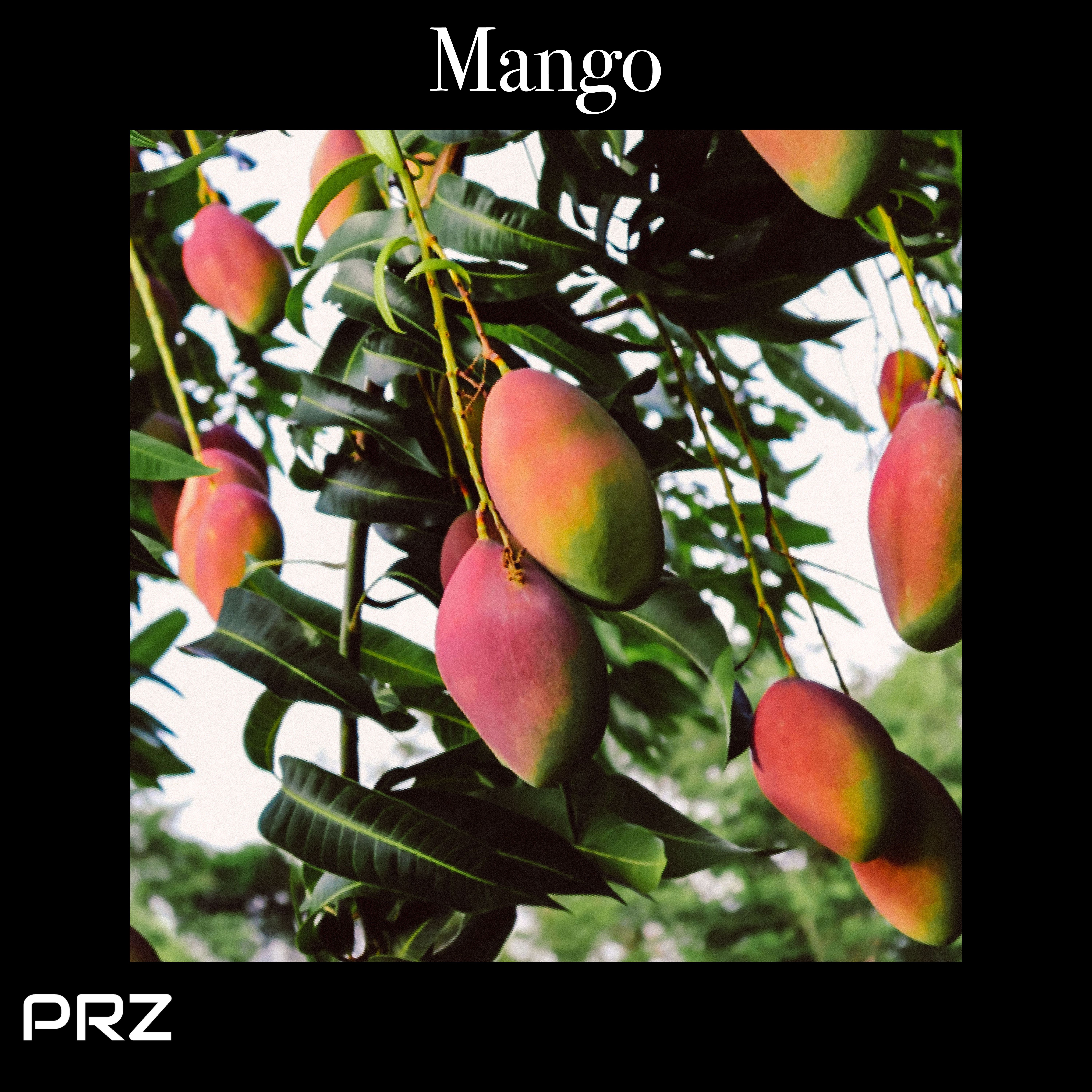 Mango artwork