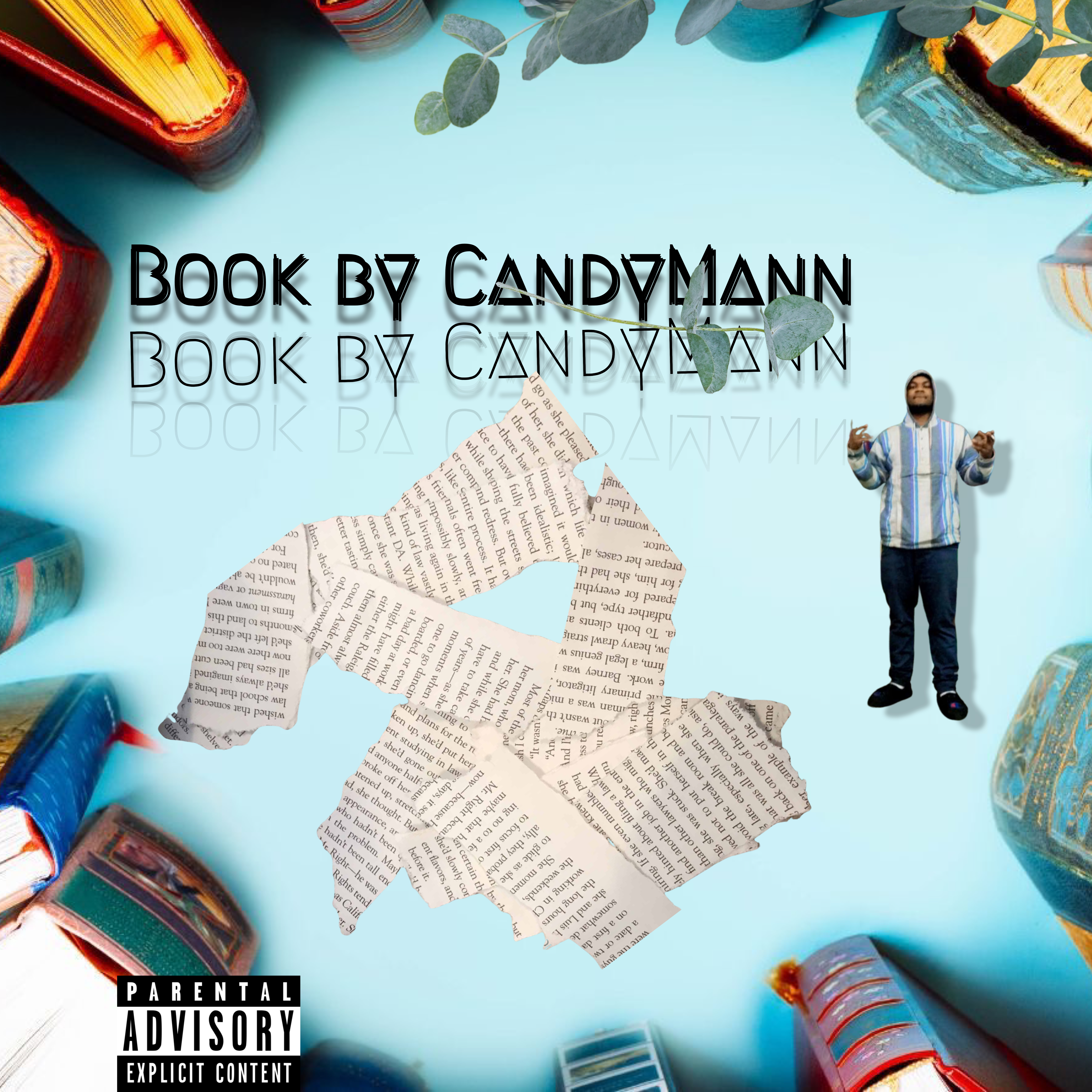 Book artwork