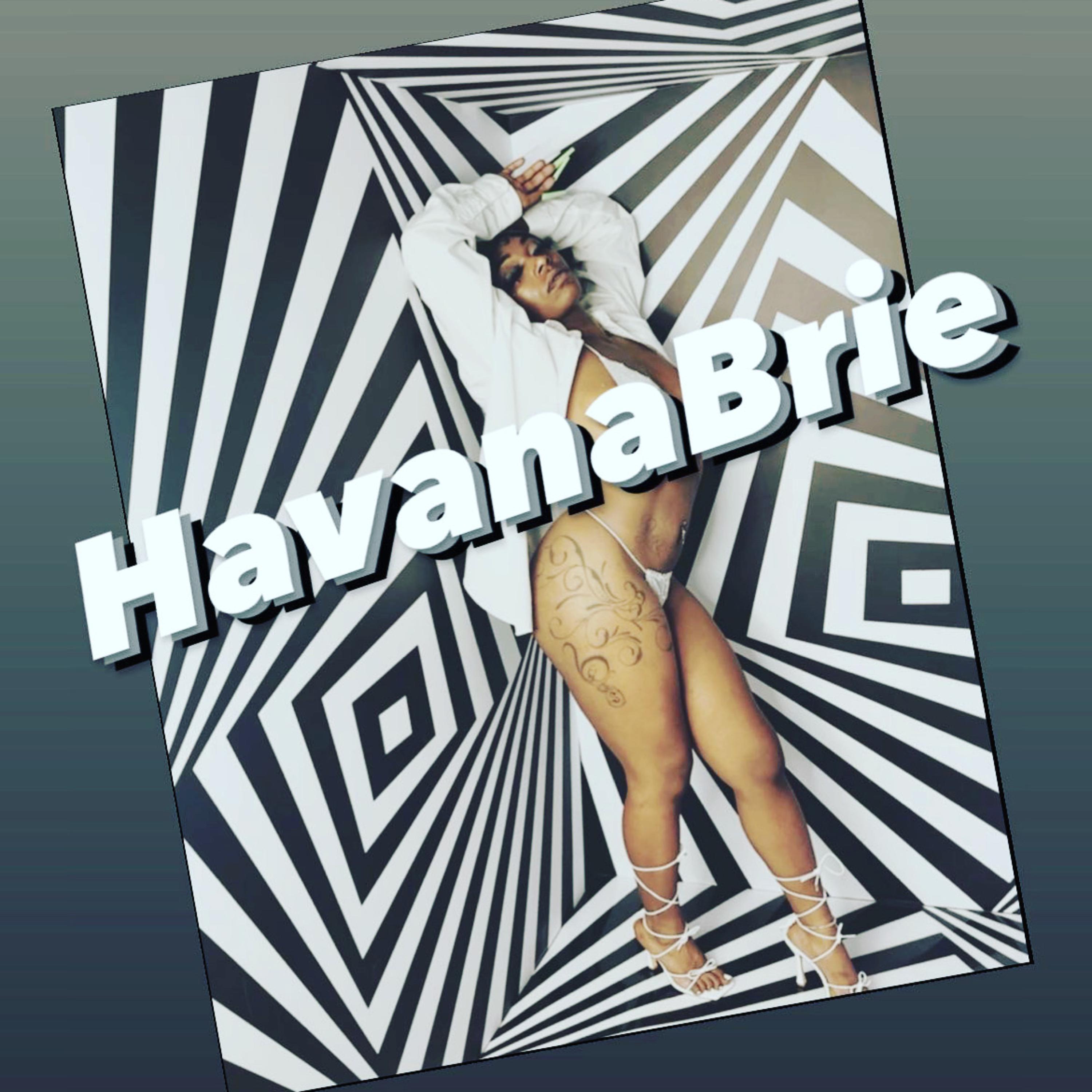 Brie-mix artwork