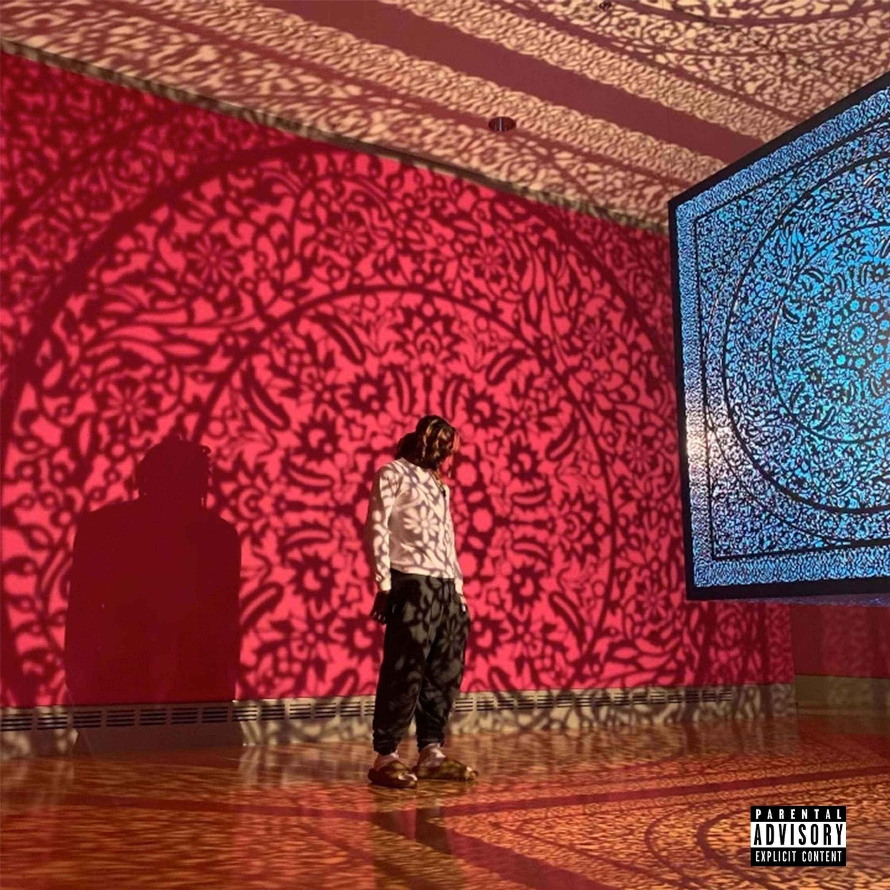 I’m Mad So I Dropped These artwork