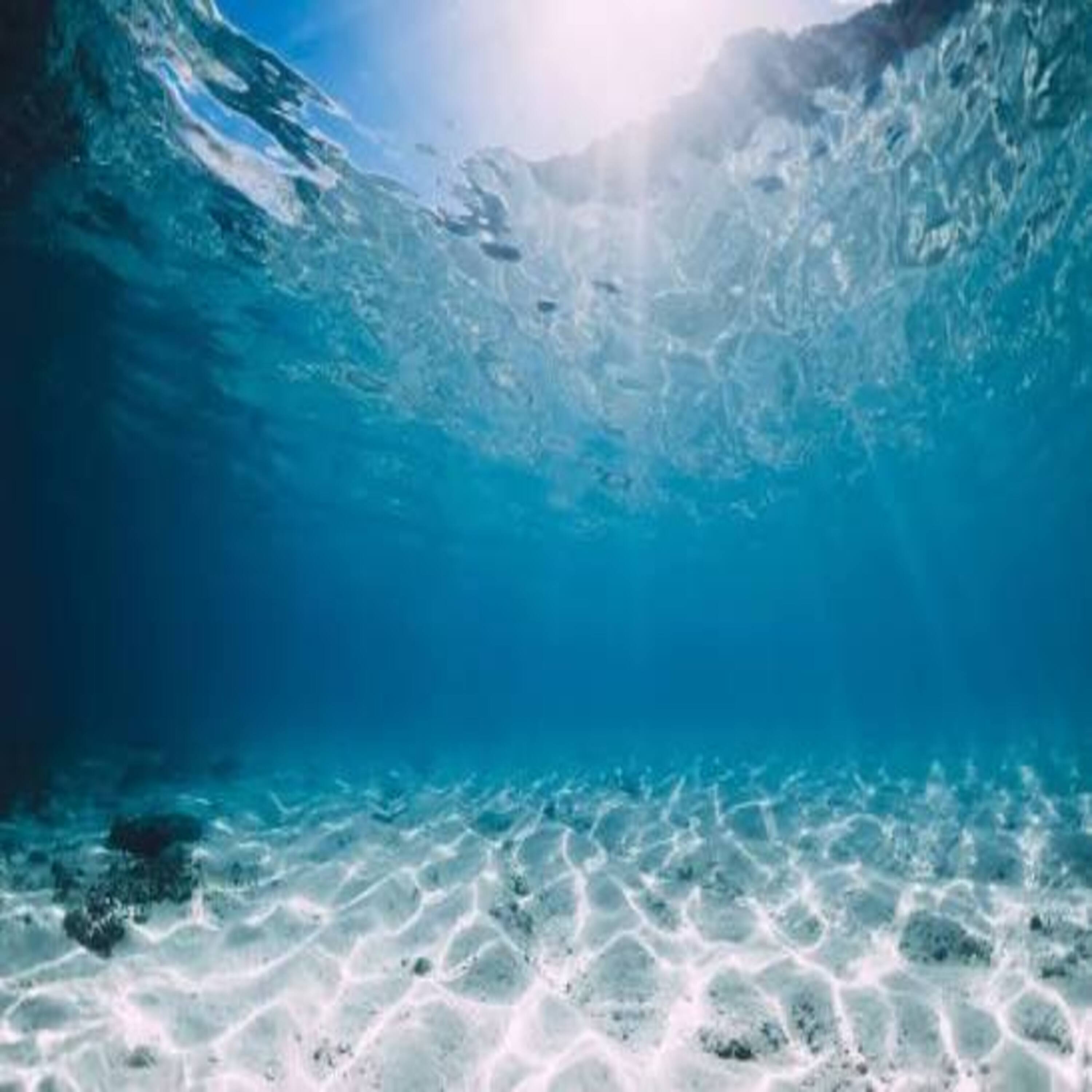 Ocean Deep artwork
