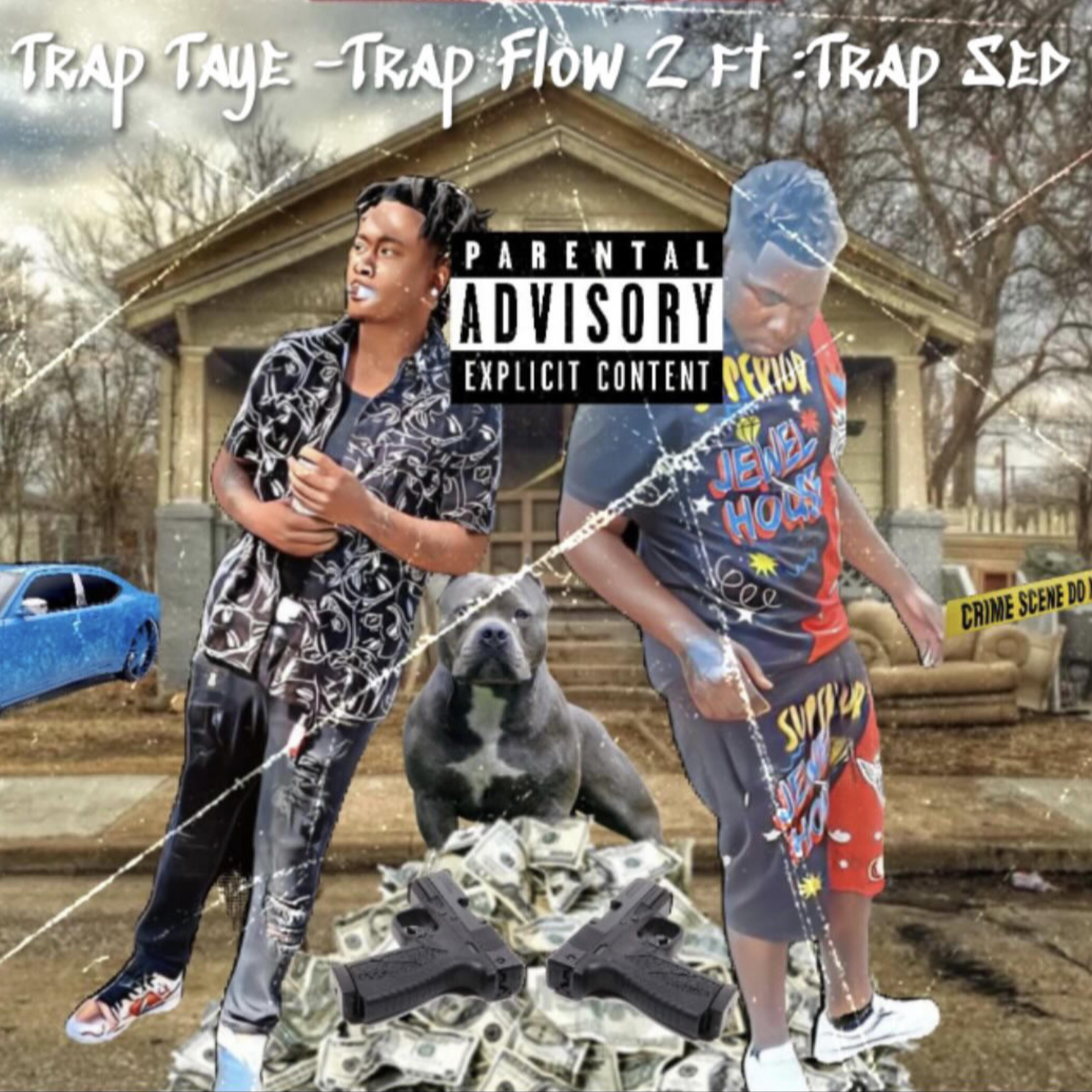 Trap Flow 2 artwork