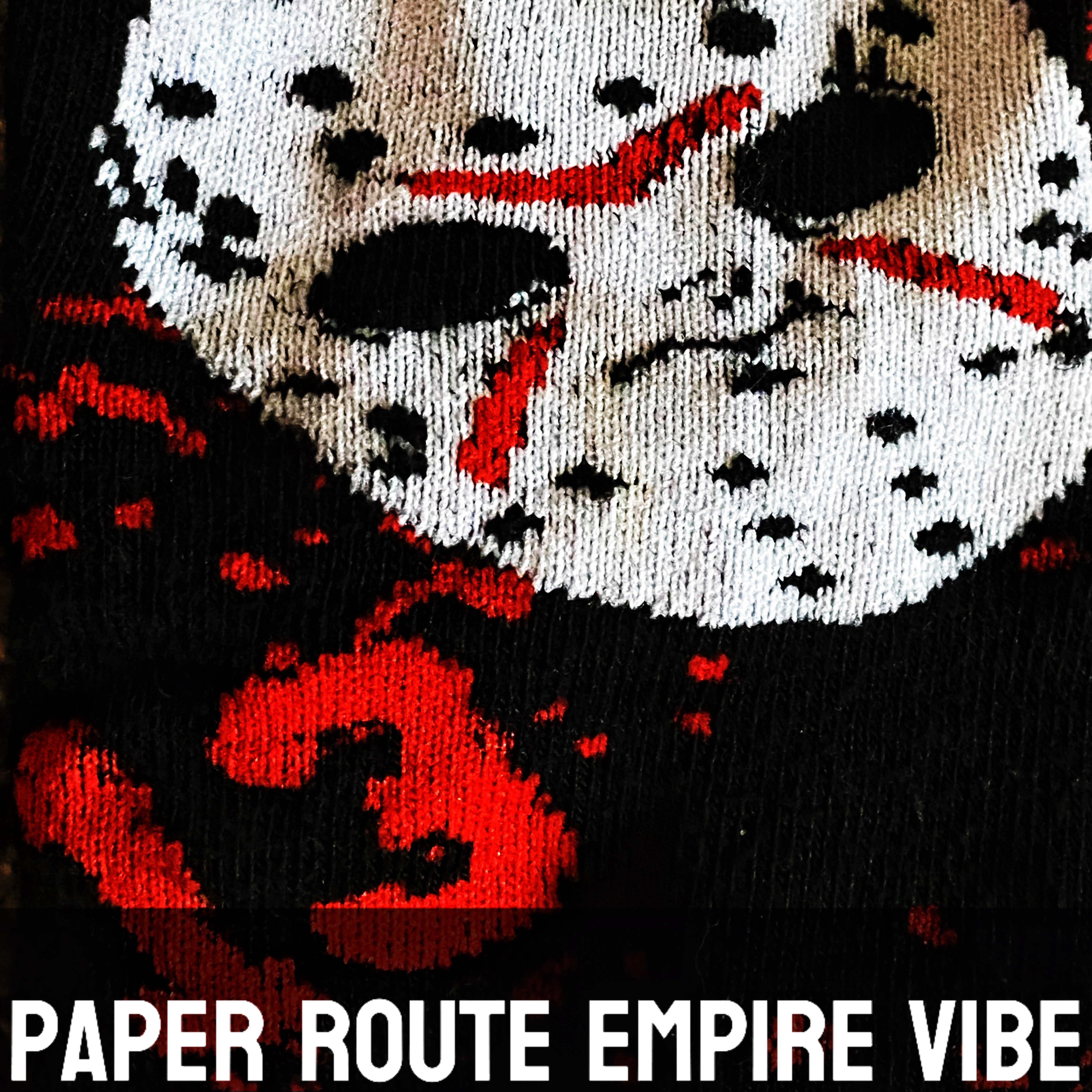 PAPER ROUTE EMPIRE VIBE artwork