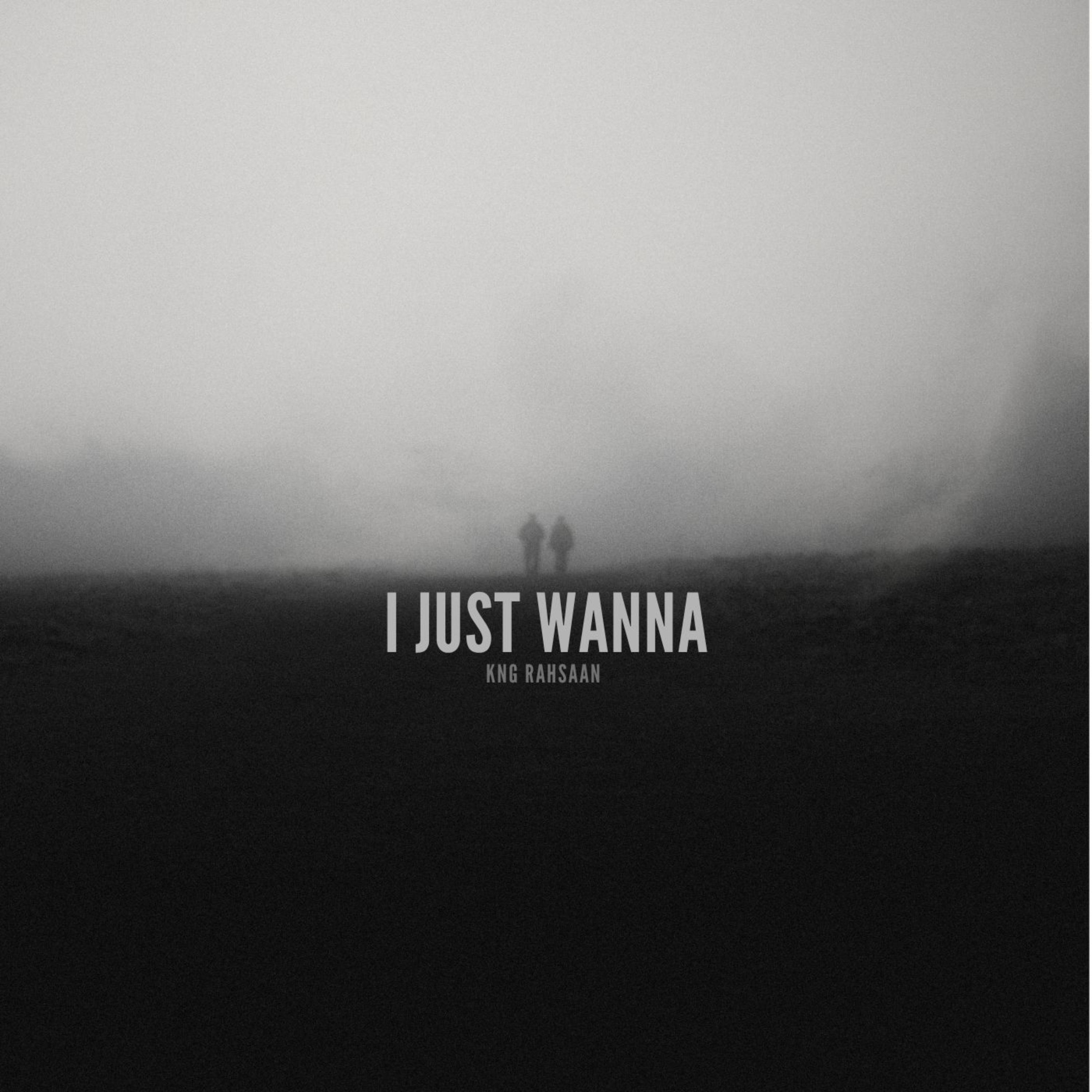 I Just Wanna artwork