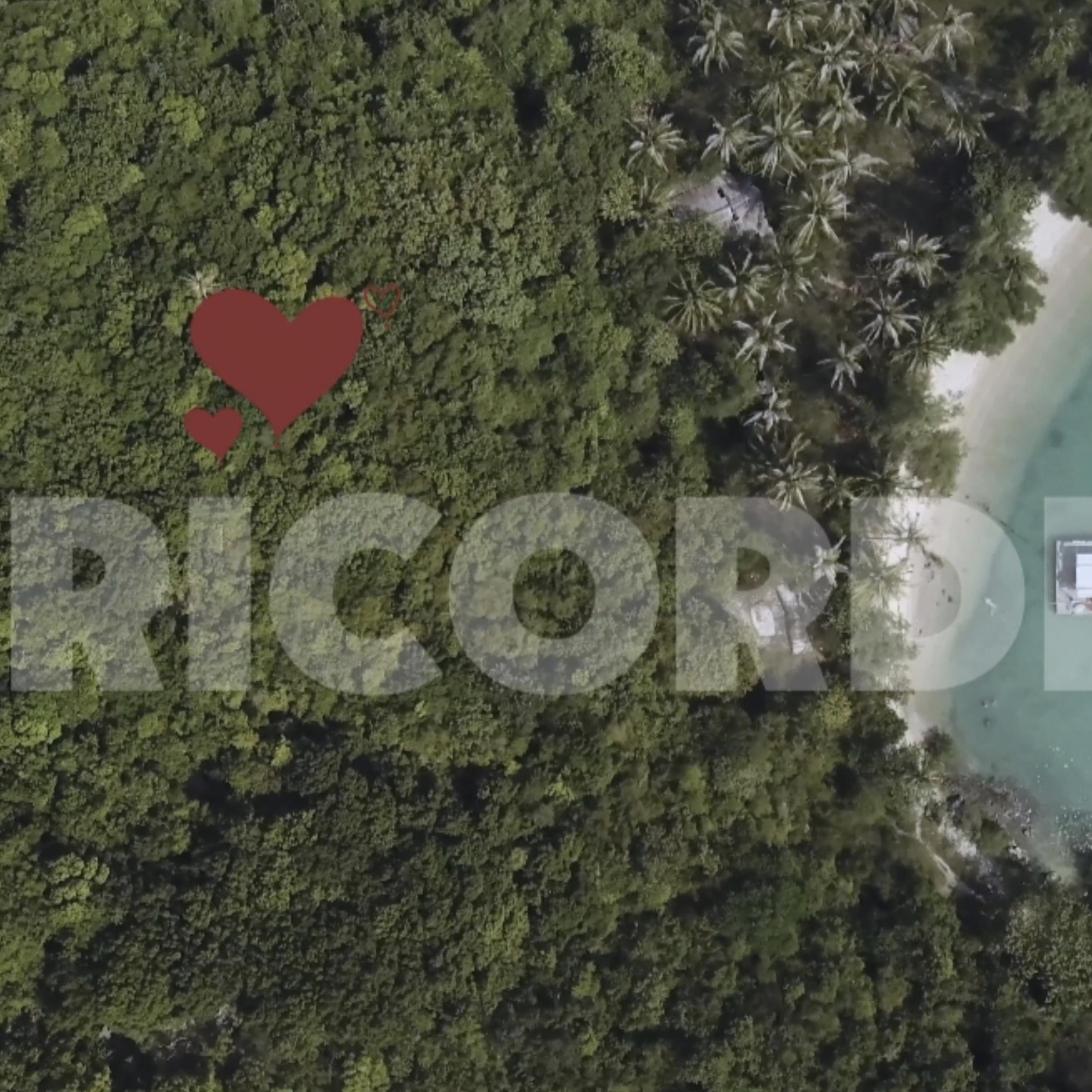 FREE by RICORDI cover art