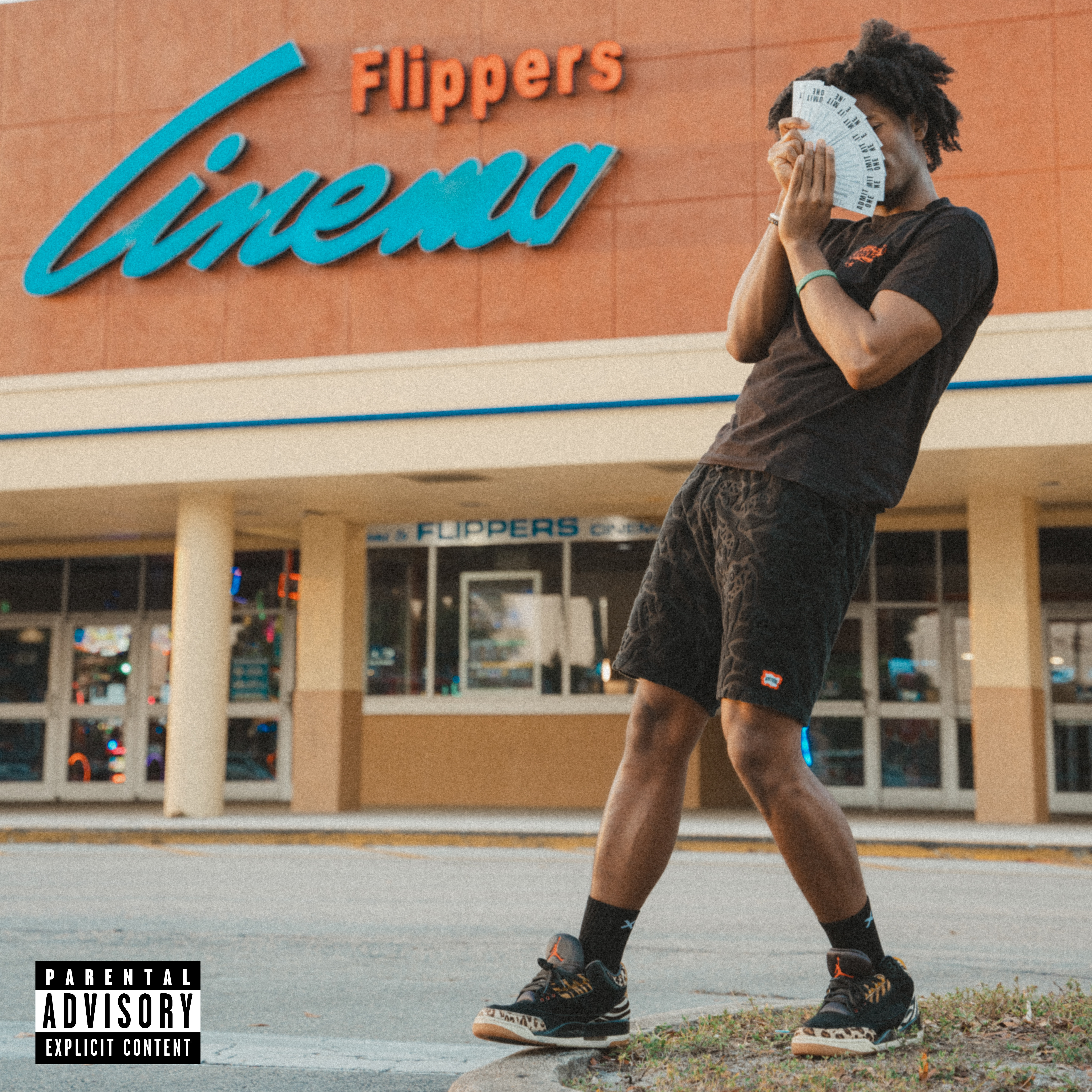 Flippers artwork