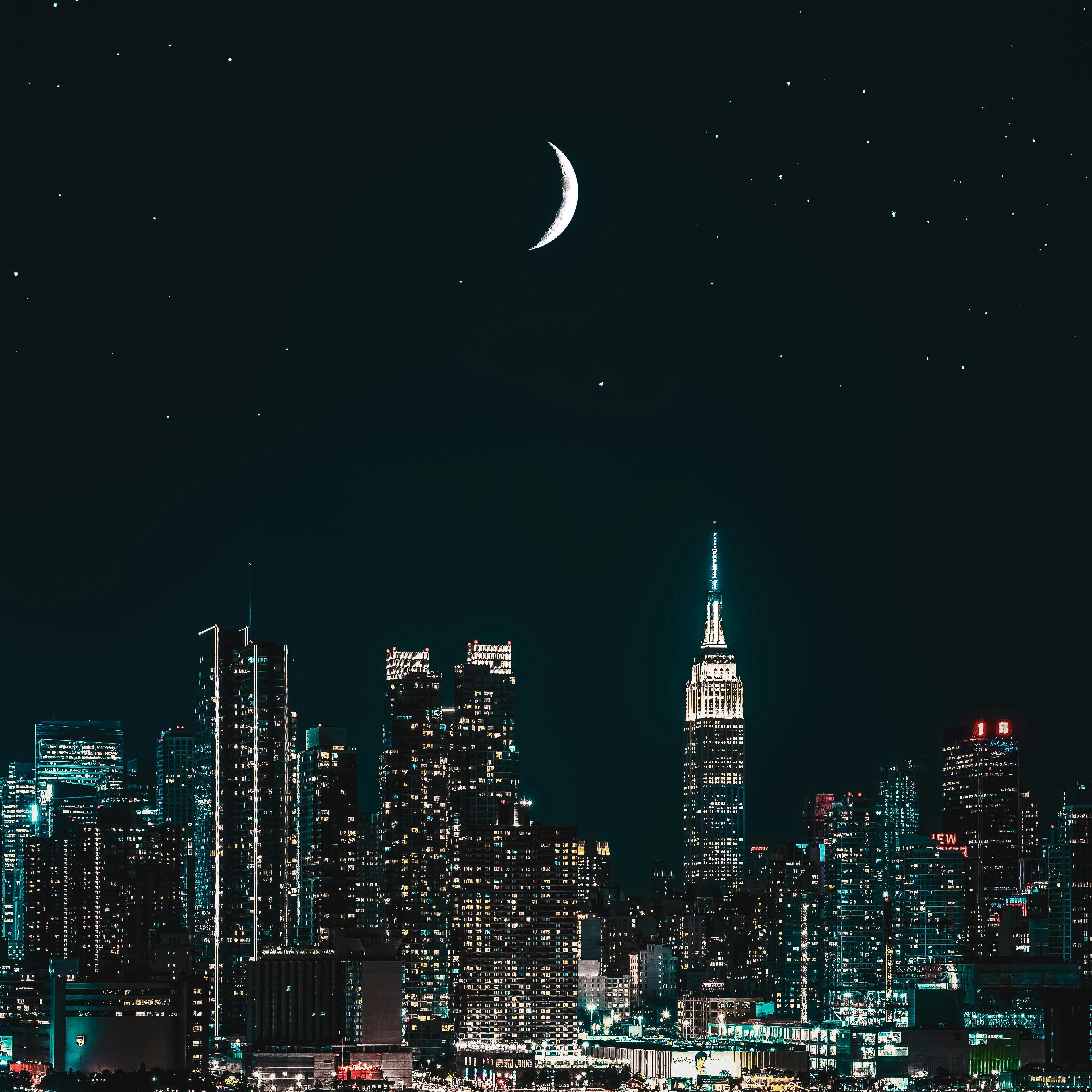 Something New by Domanic Rincones cover art
