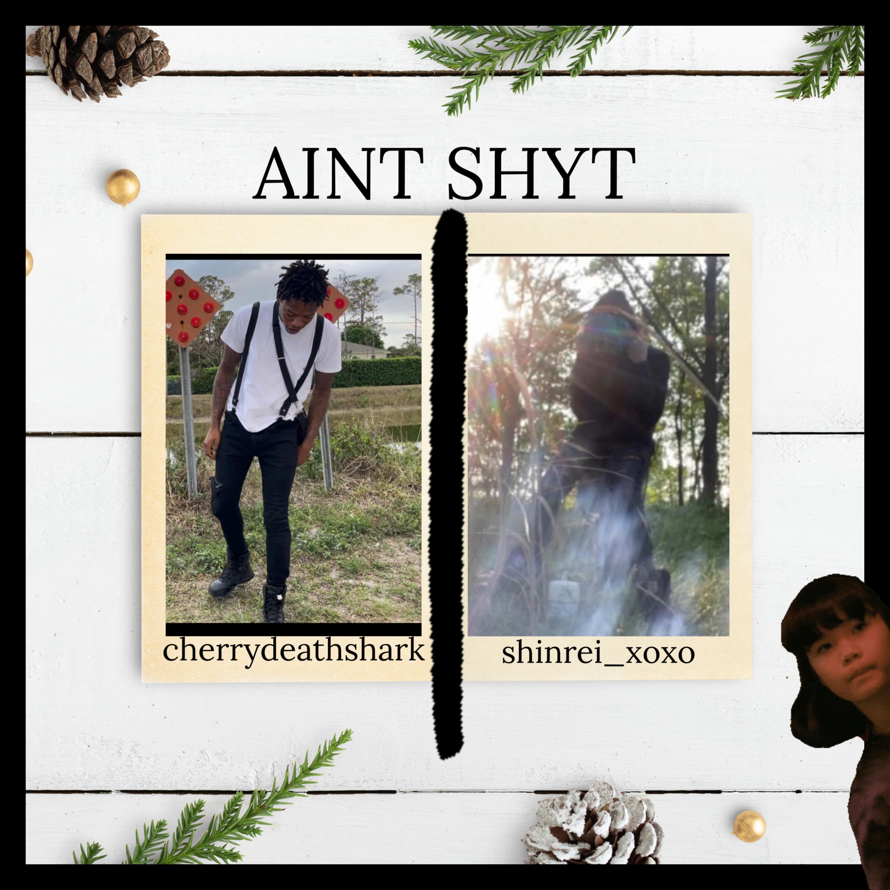 AINT SHYT artwork