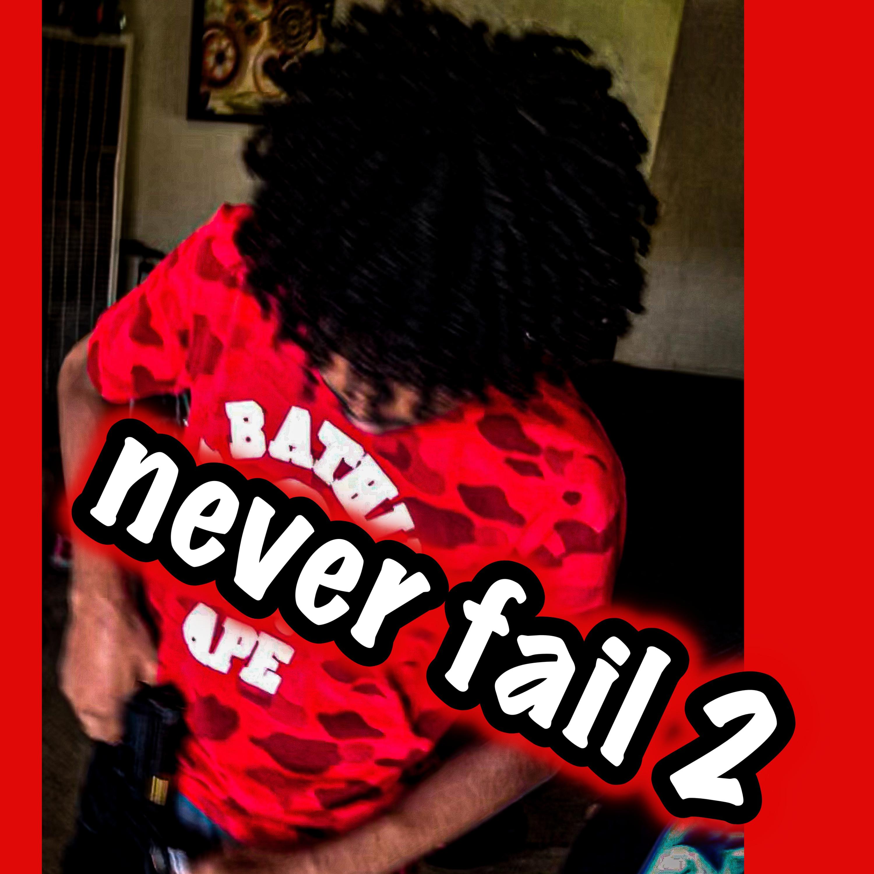 never fail 2 artwork