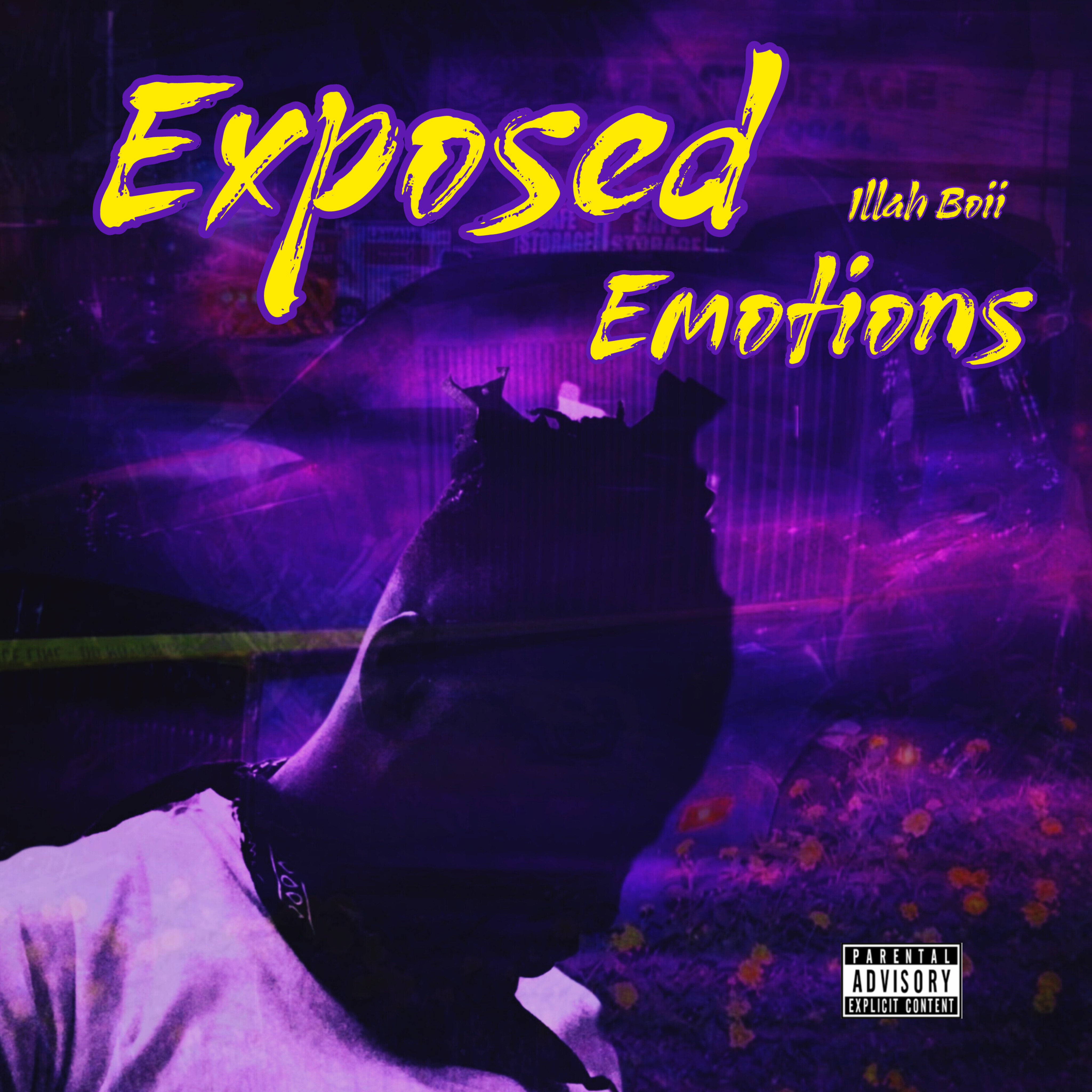 Exposed Emotions artwork