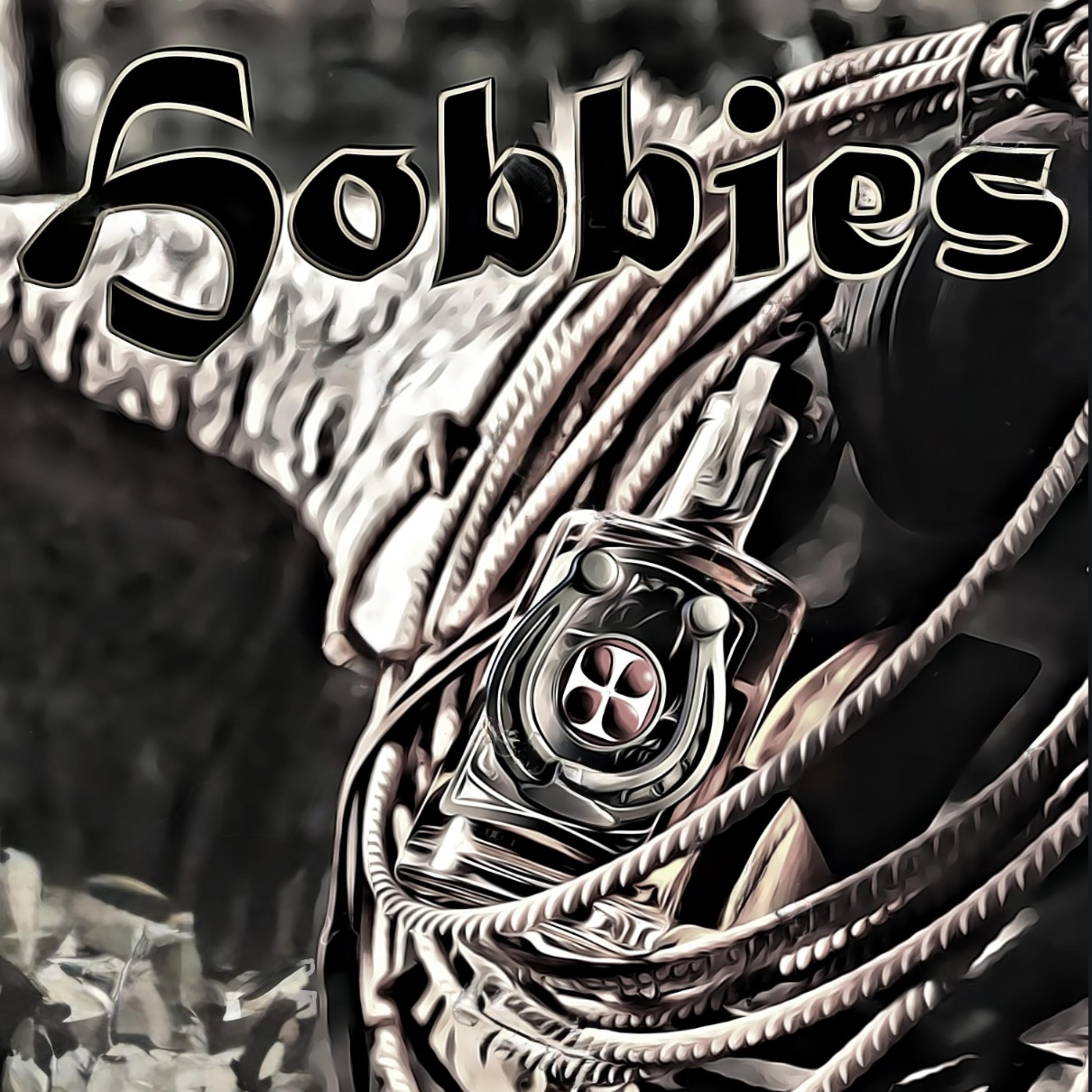 Hobbies by Conrad Mortiss cover art