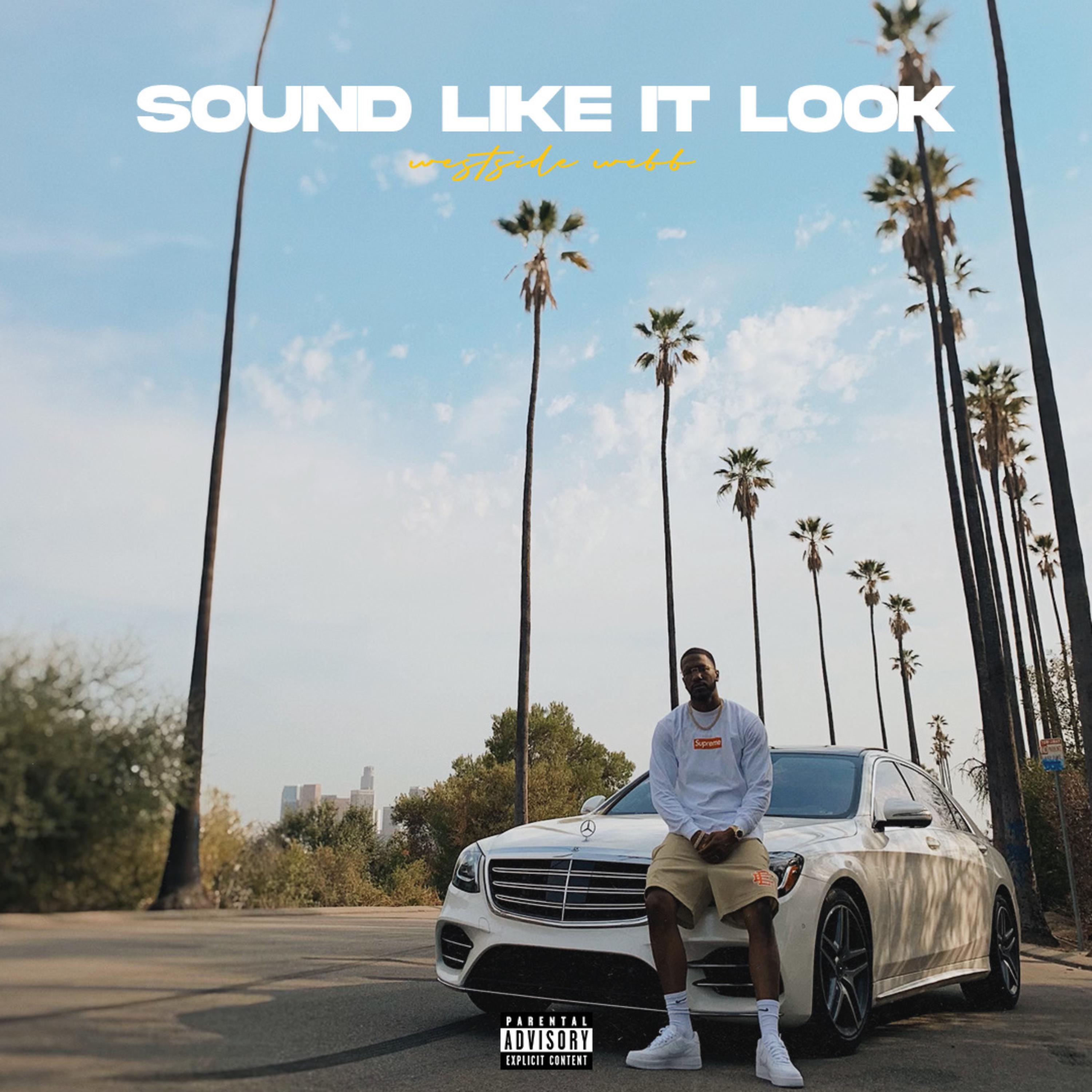 Sound Like It Look artwork