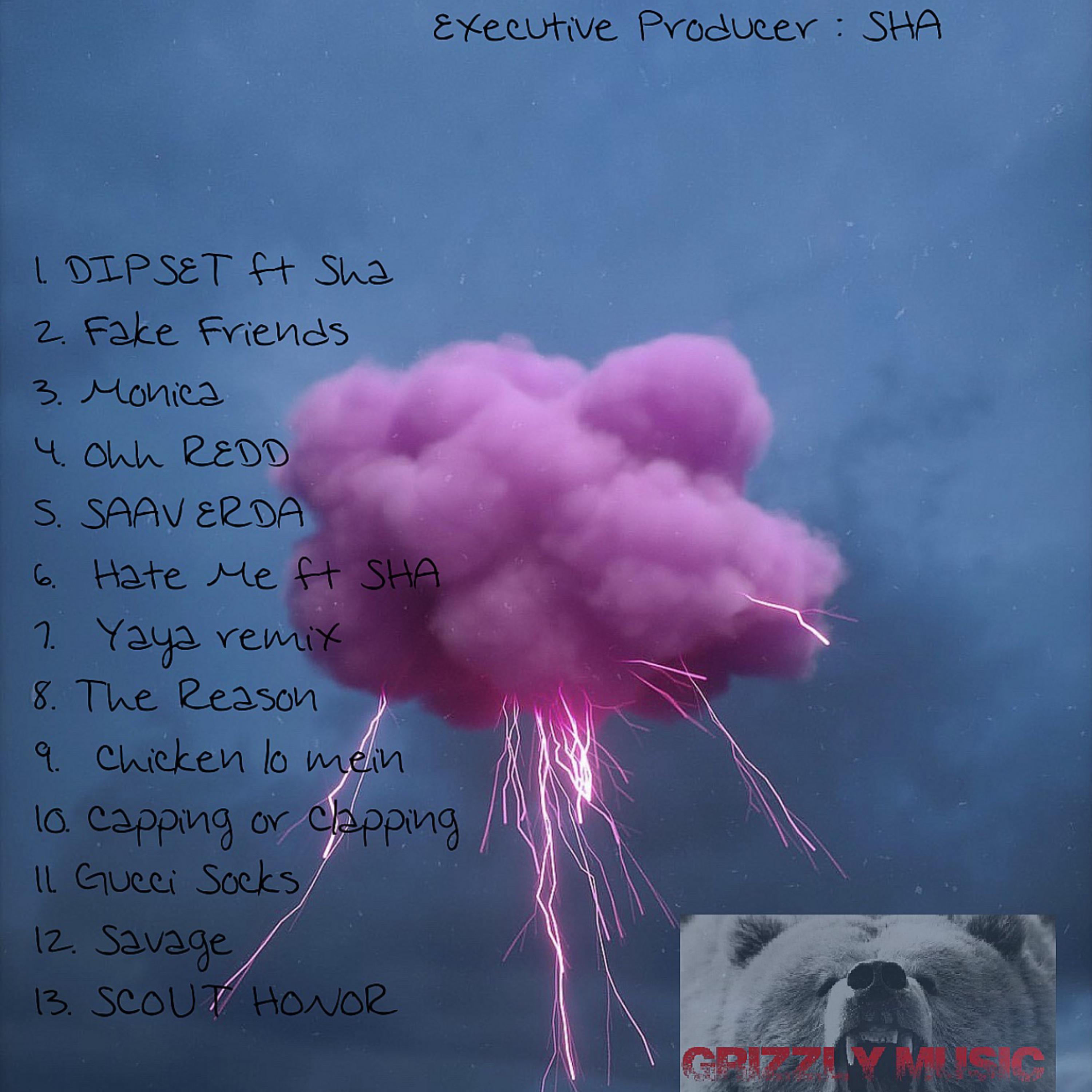 DINORA artwork