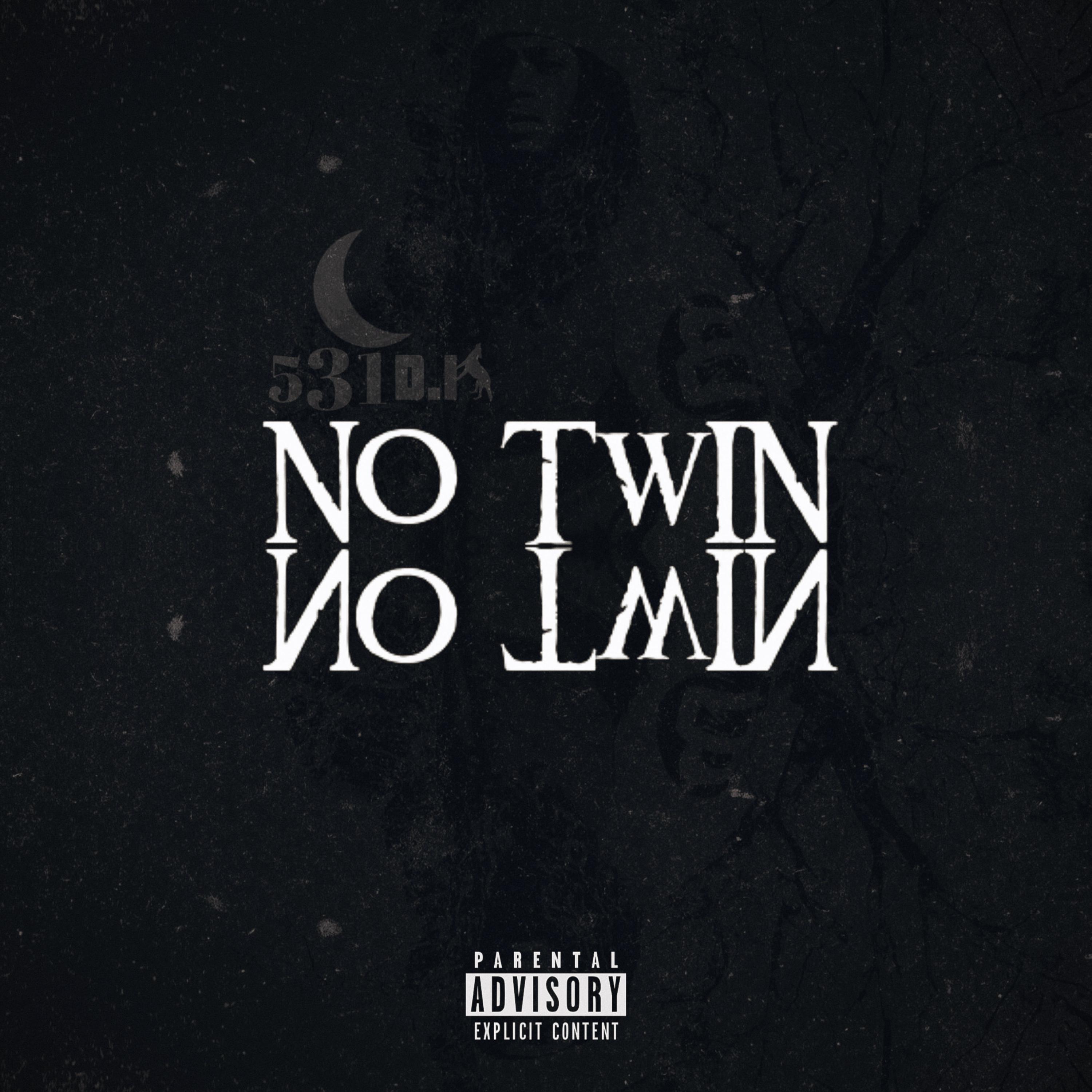 No Twin artwork