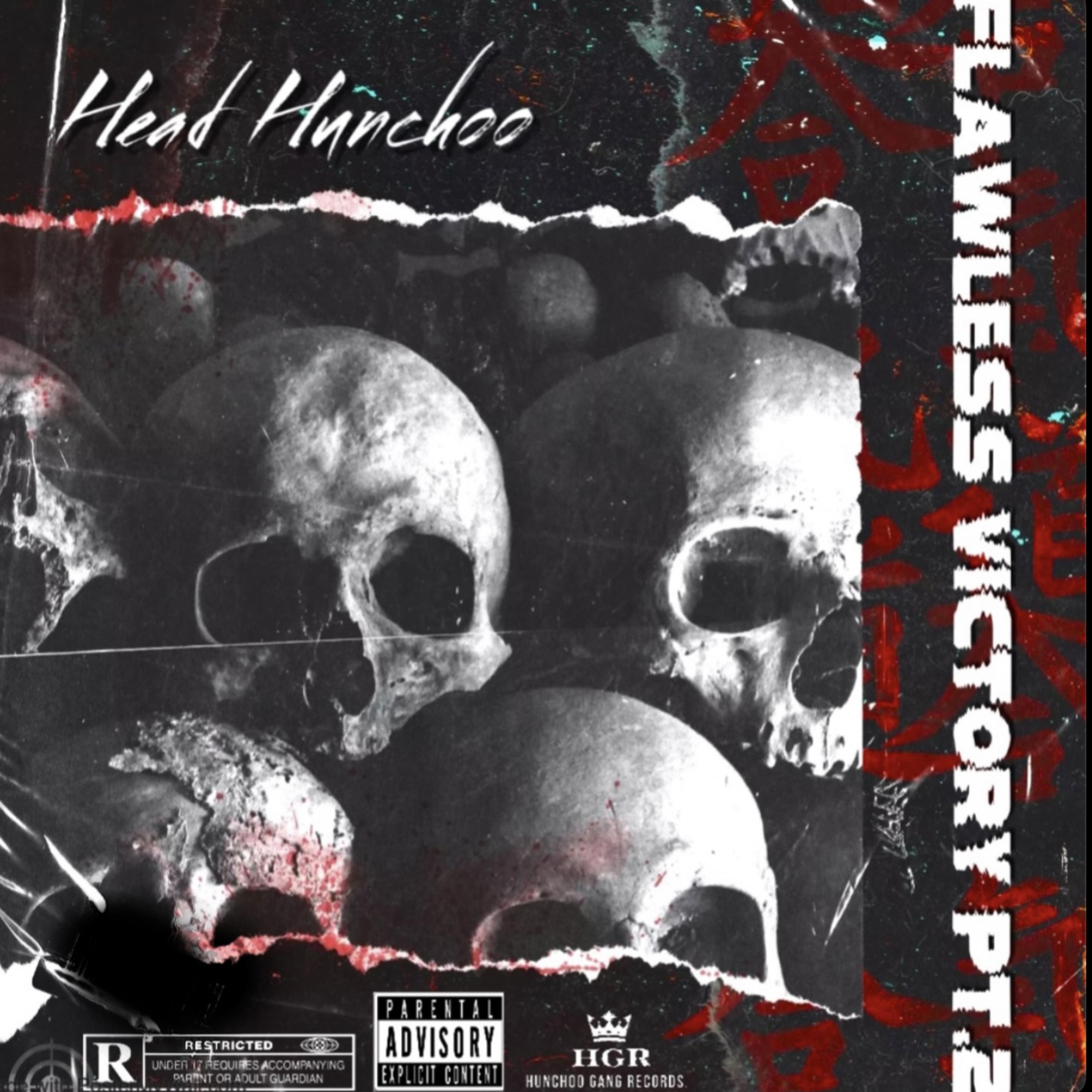 Flawless Victory 2 artwork