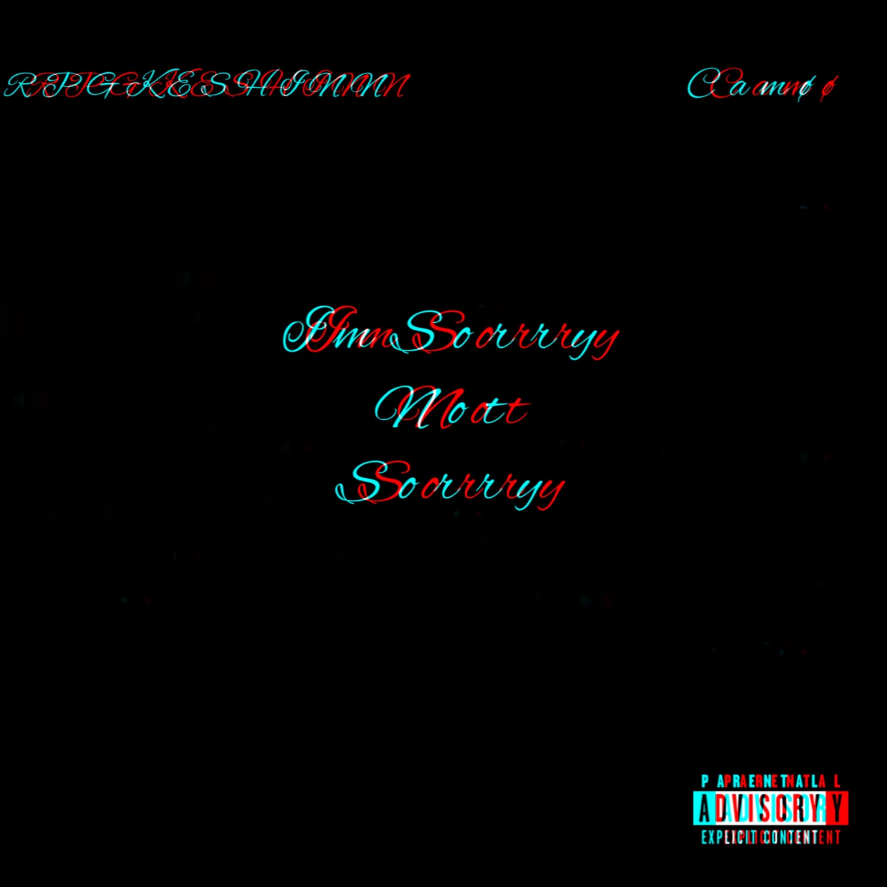Im Sorry Not Sorry artwork