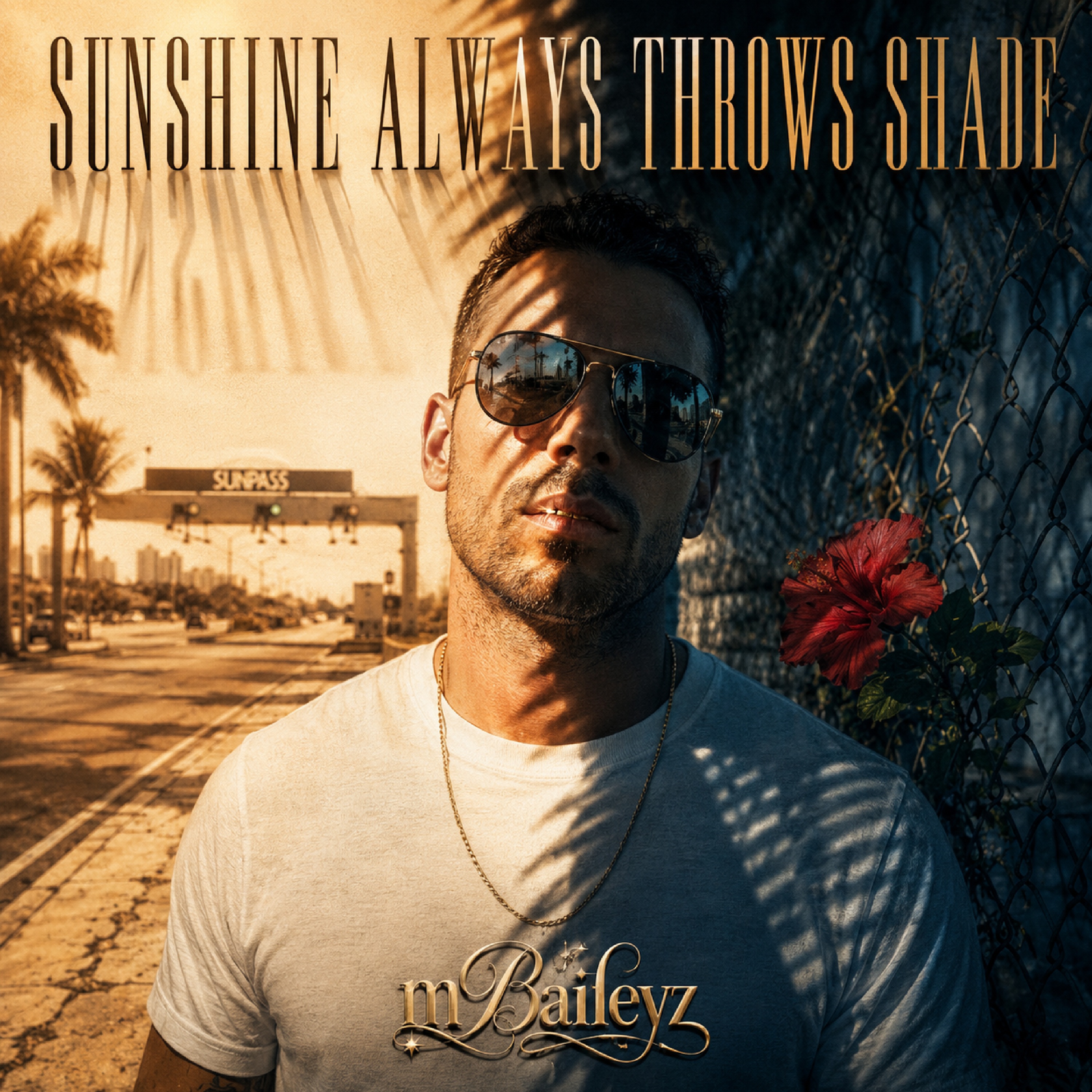 Sunshine Always Throws Shade by mBaileyz cover art