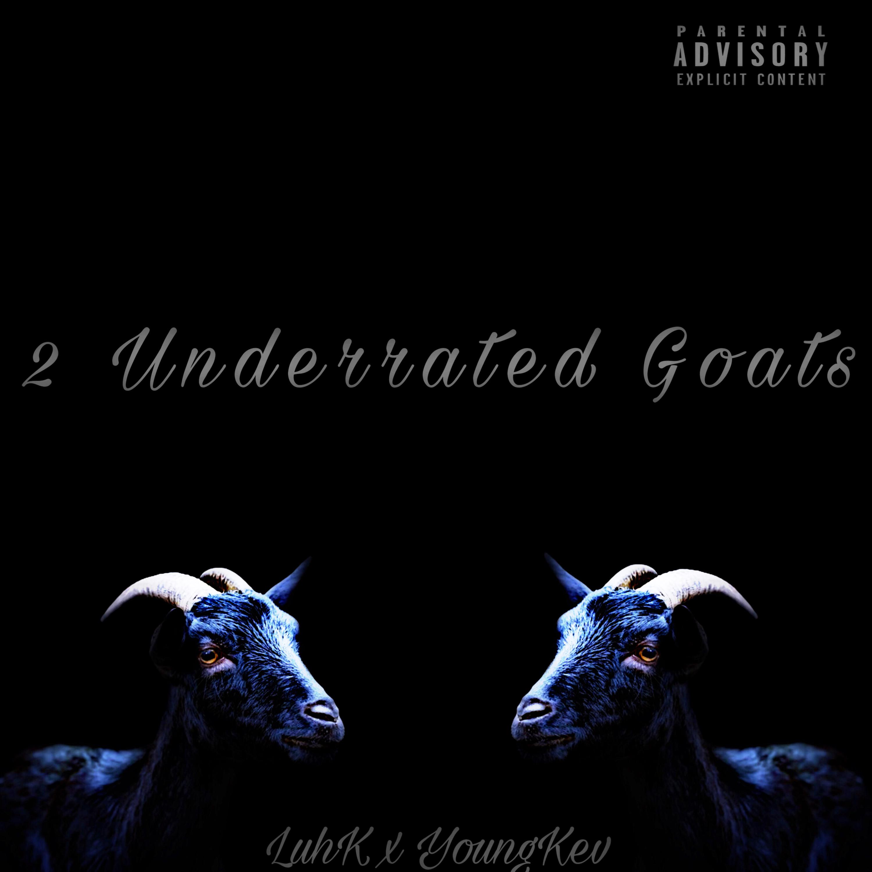 2 Underrated Goats artwork
