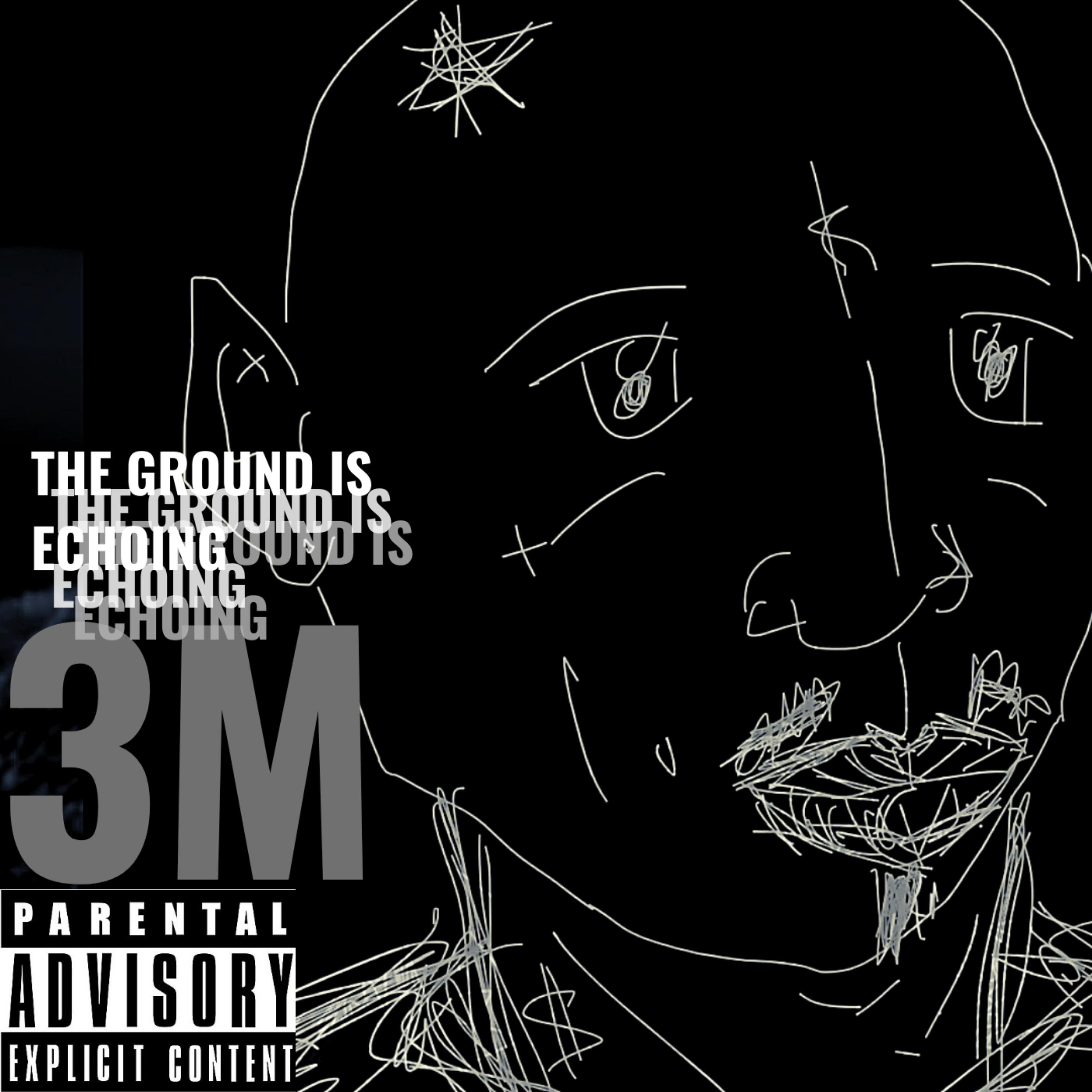 The Ground Is Echoing artwork