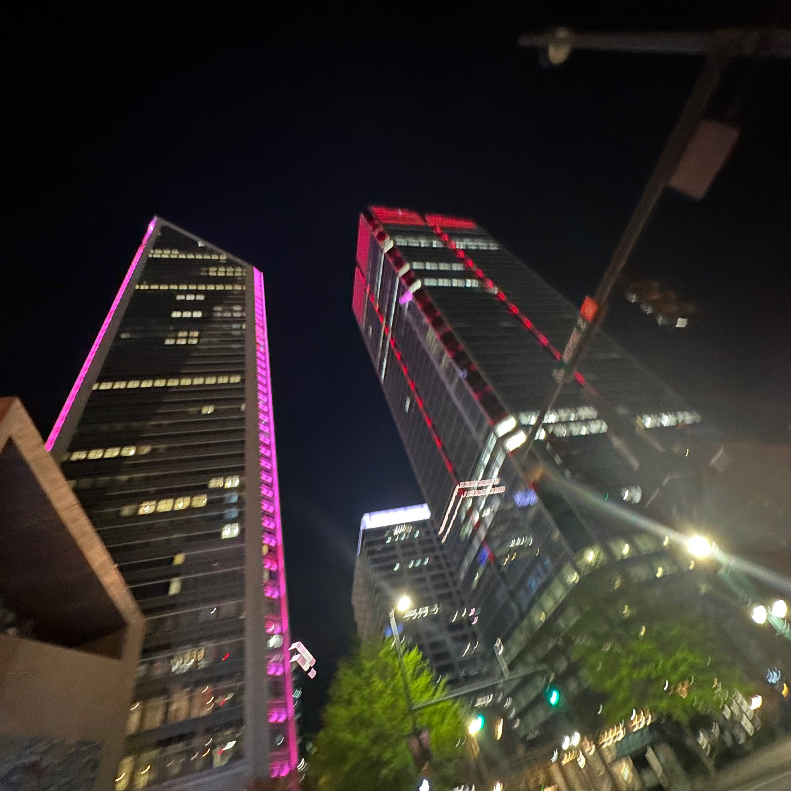 Charlotte Lights artwork