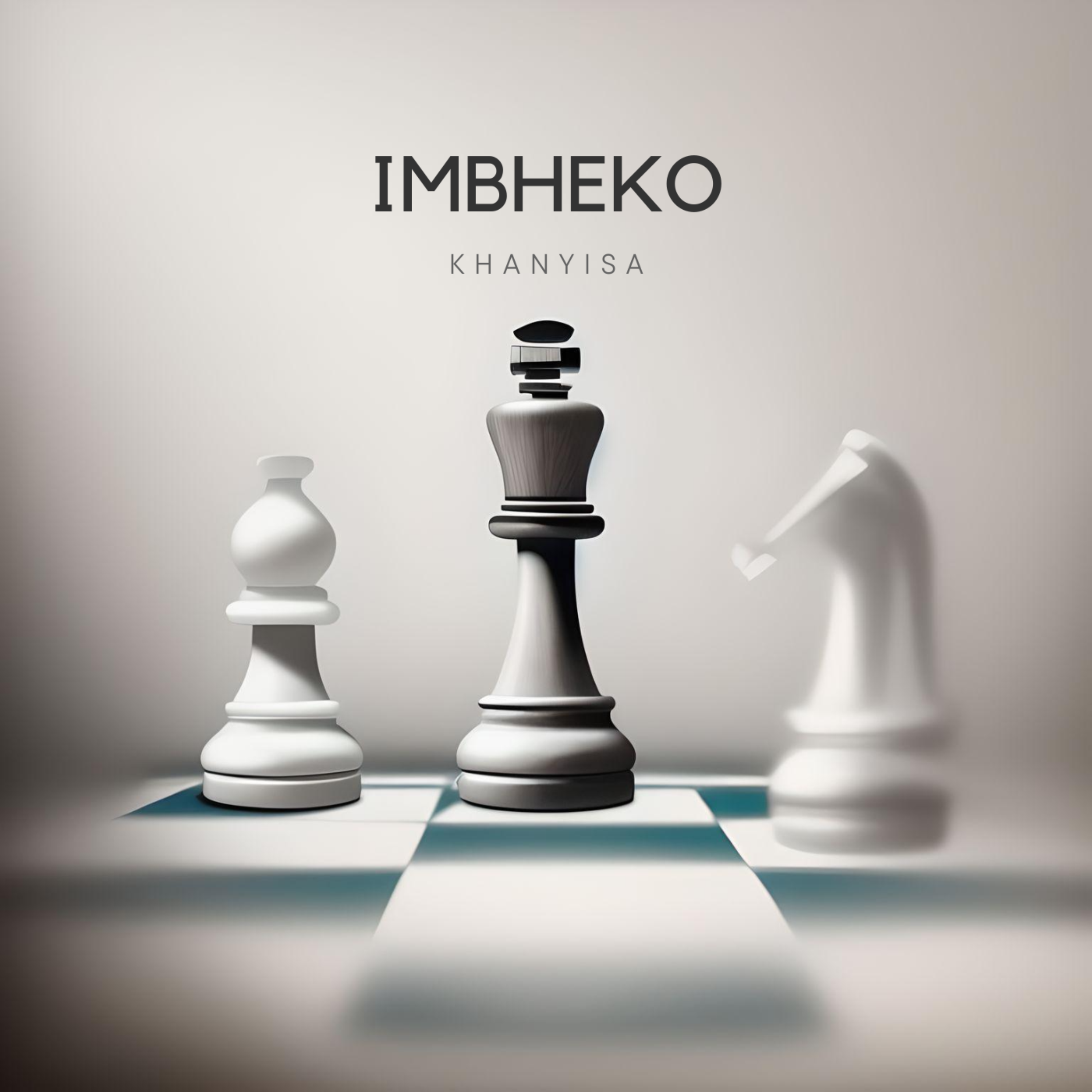 iMbheko artwork