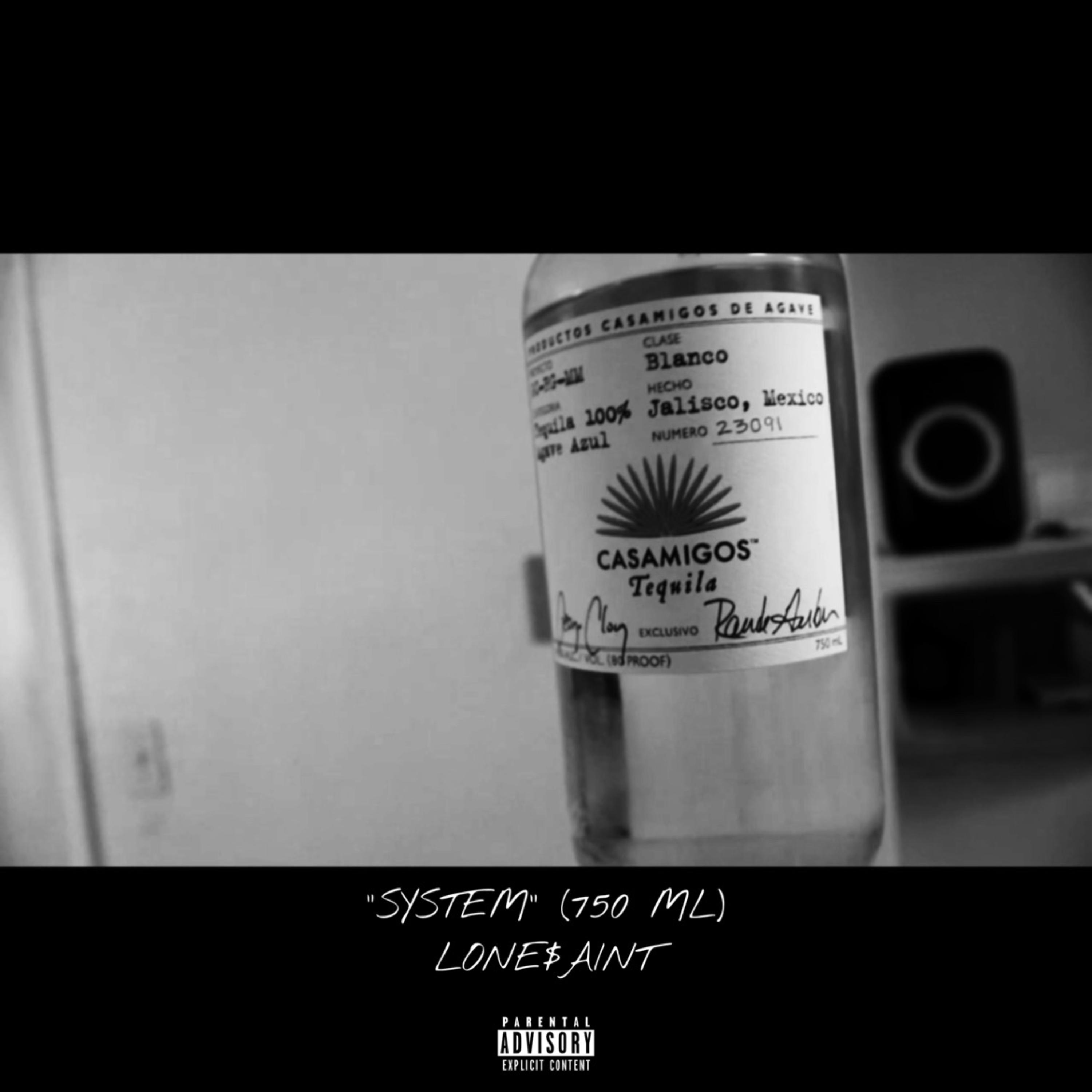 System (750 ML) artwork