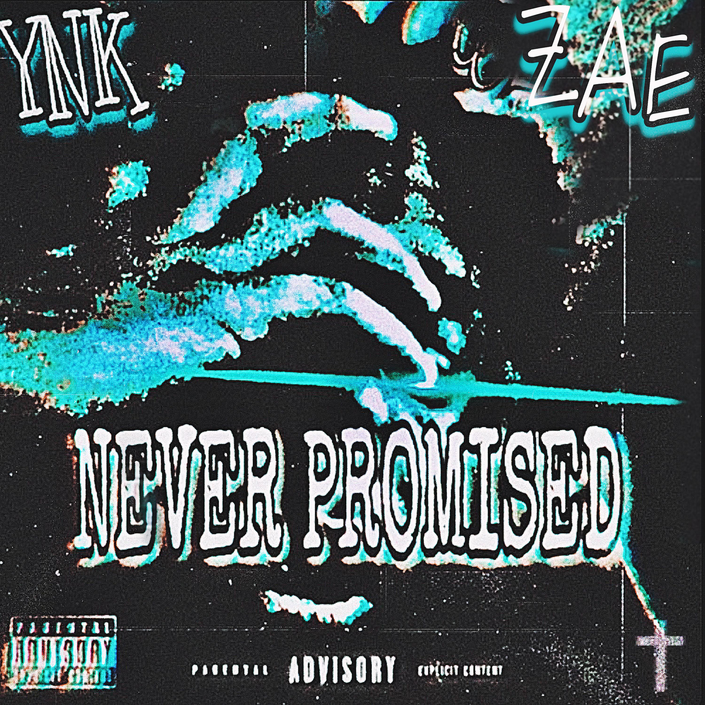 Never Promised by YNK ZAE cover art