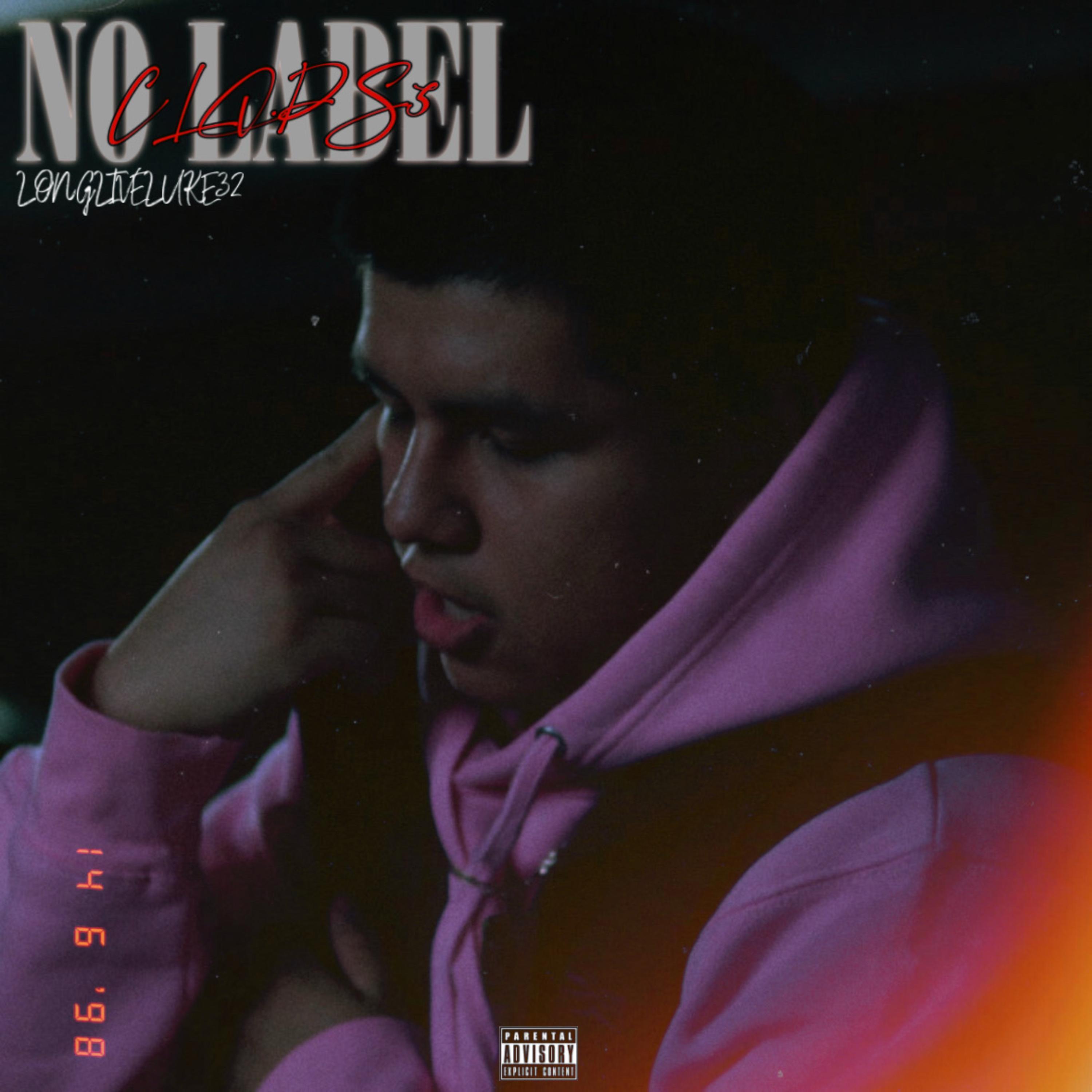 No Label artwork